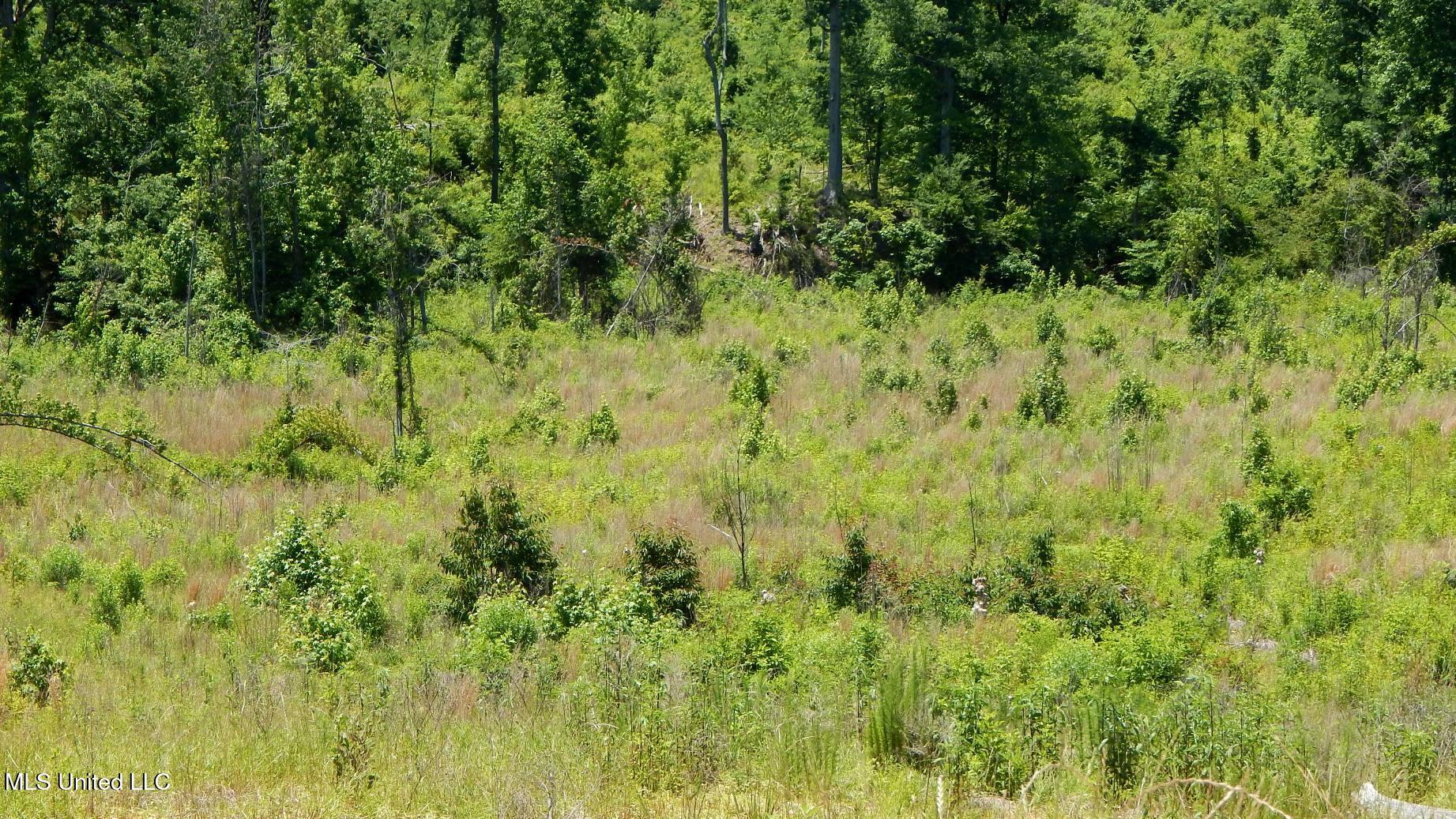 104 Hugh White State Park Road Property Photo 4