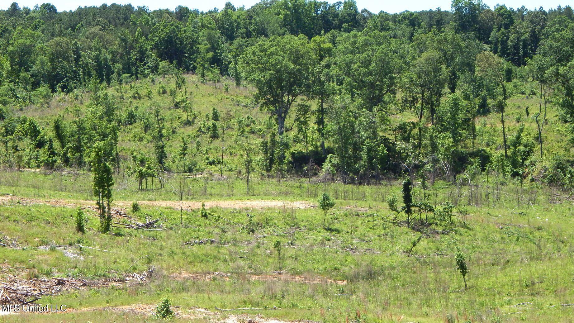 104 Hugh White State Park Road Property Photo 6
