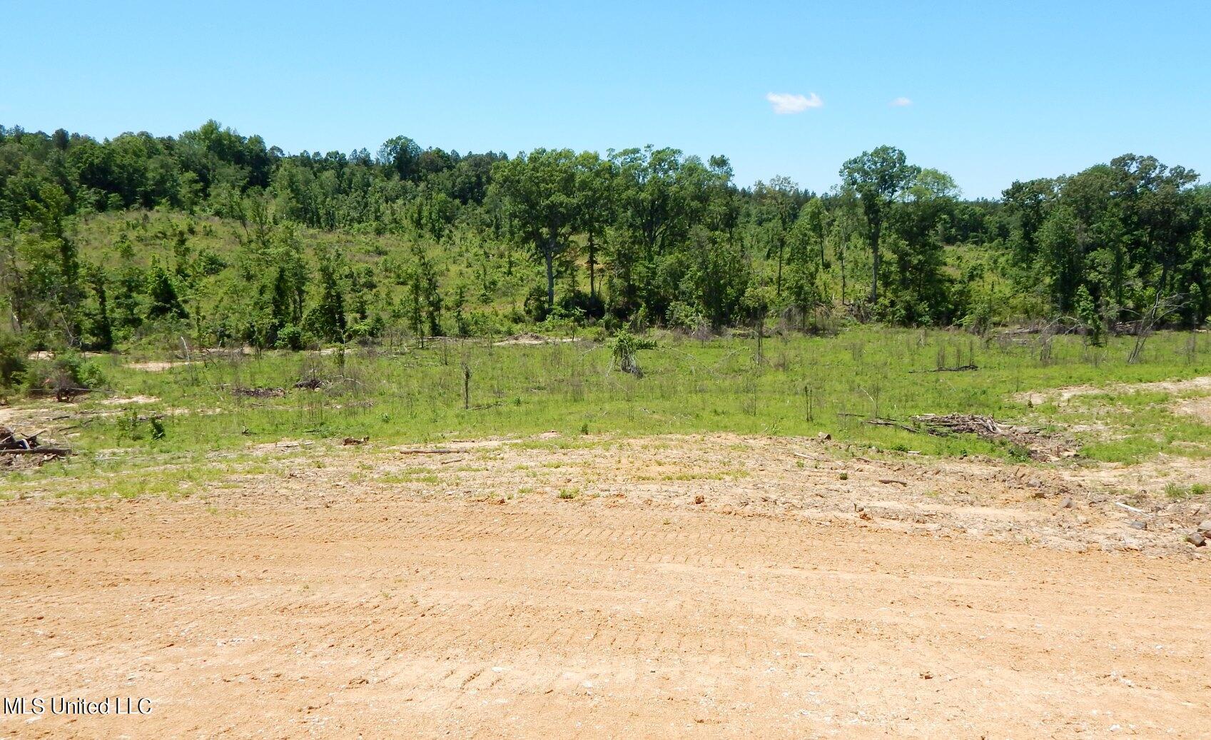104 Hugh White State Park Road Property Photo 7