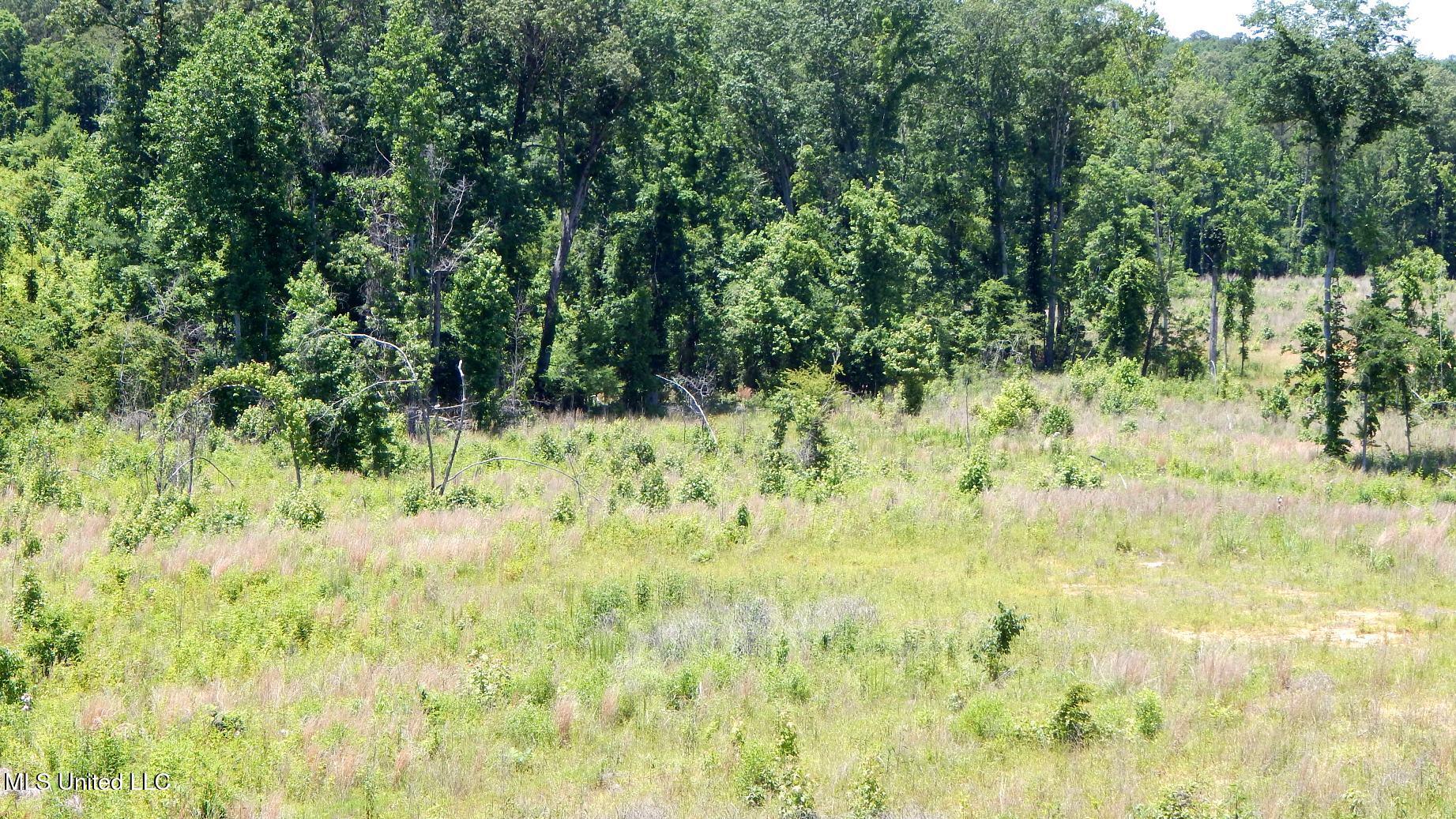 104 Hugh White State Park Road Property Photo 10