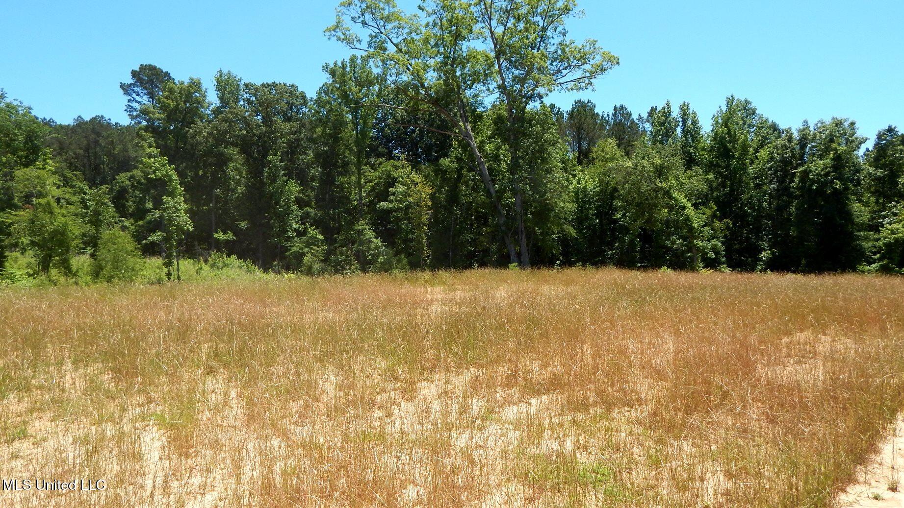 105 Hugh White State Park Road Property Photo 1