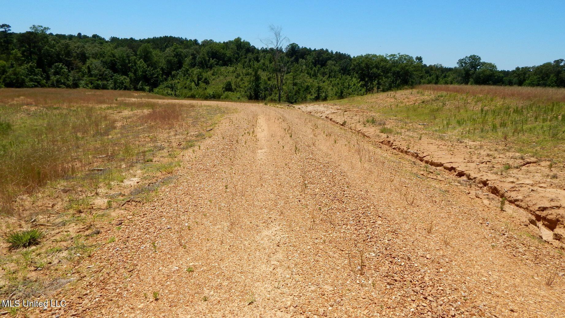 105 Hugh White State Park Road Property Photo 2