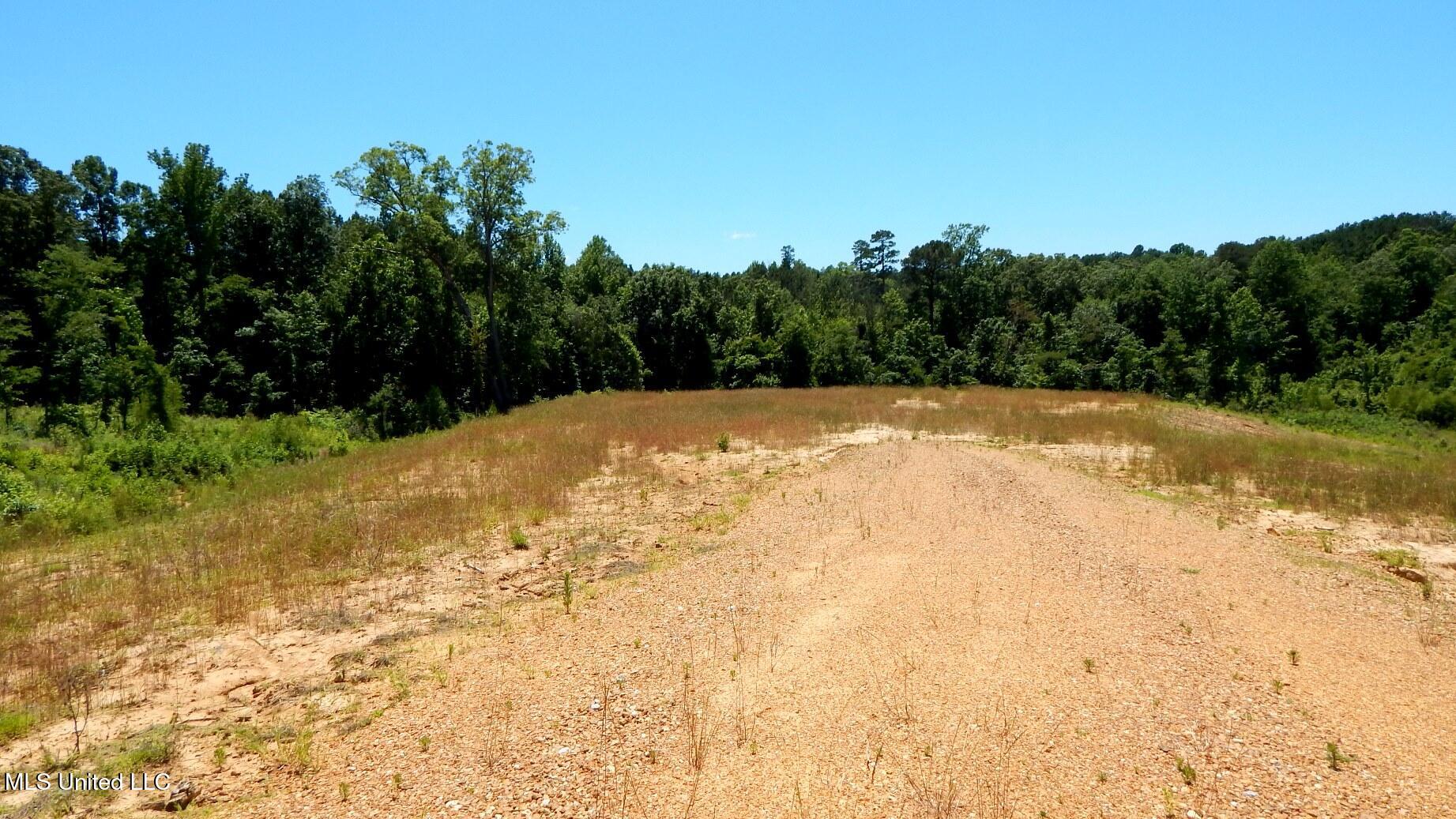 105 Hugh White State Park Road Property Photo 3