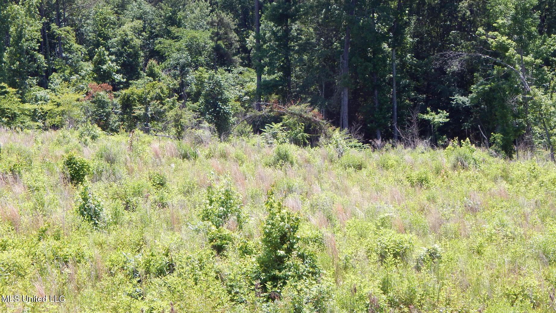 105 Hugh White State Park Road Property Photo 4