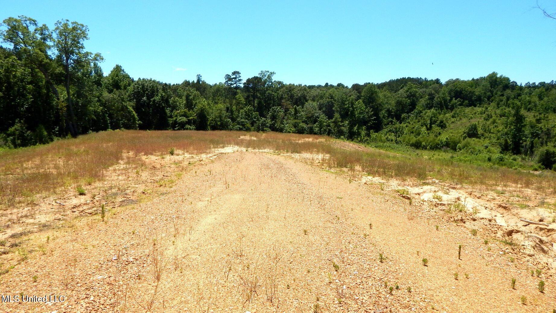 105 Hugh White State Park Road Property Photo 6