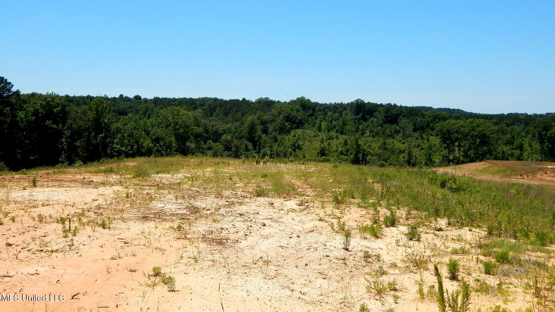 806 Hugh White State Park Road Property Photo 1