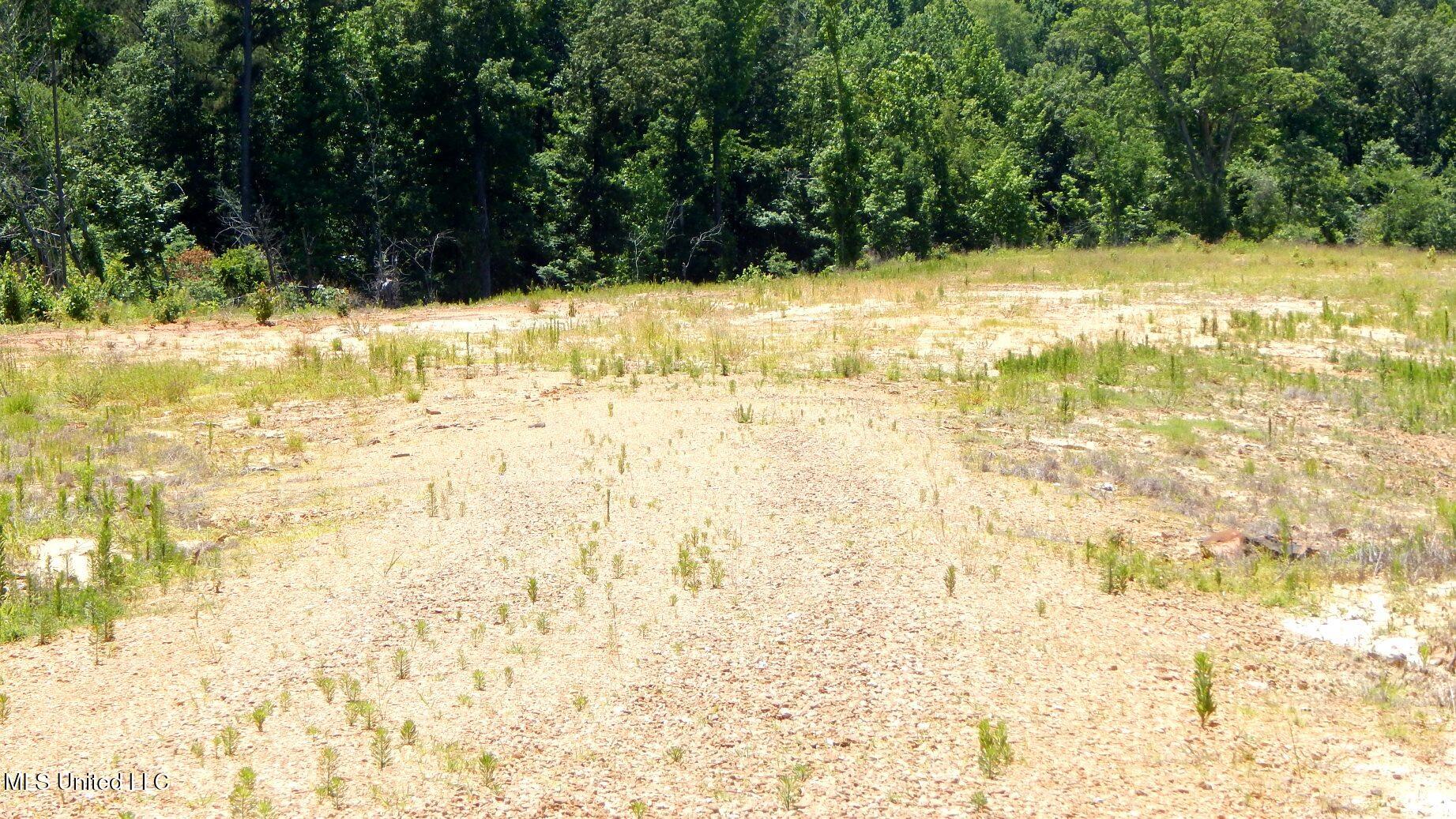 806 Hugh White State Park Road Property Photo 2