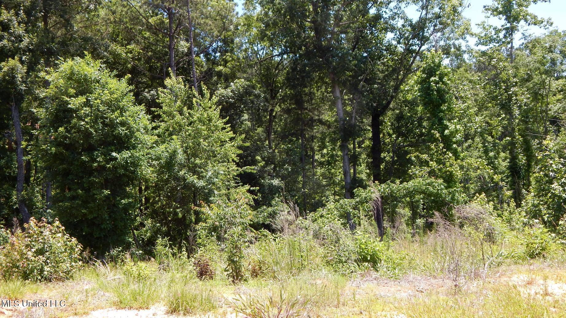 806 Hugh White State Park Road Property Photo 3
