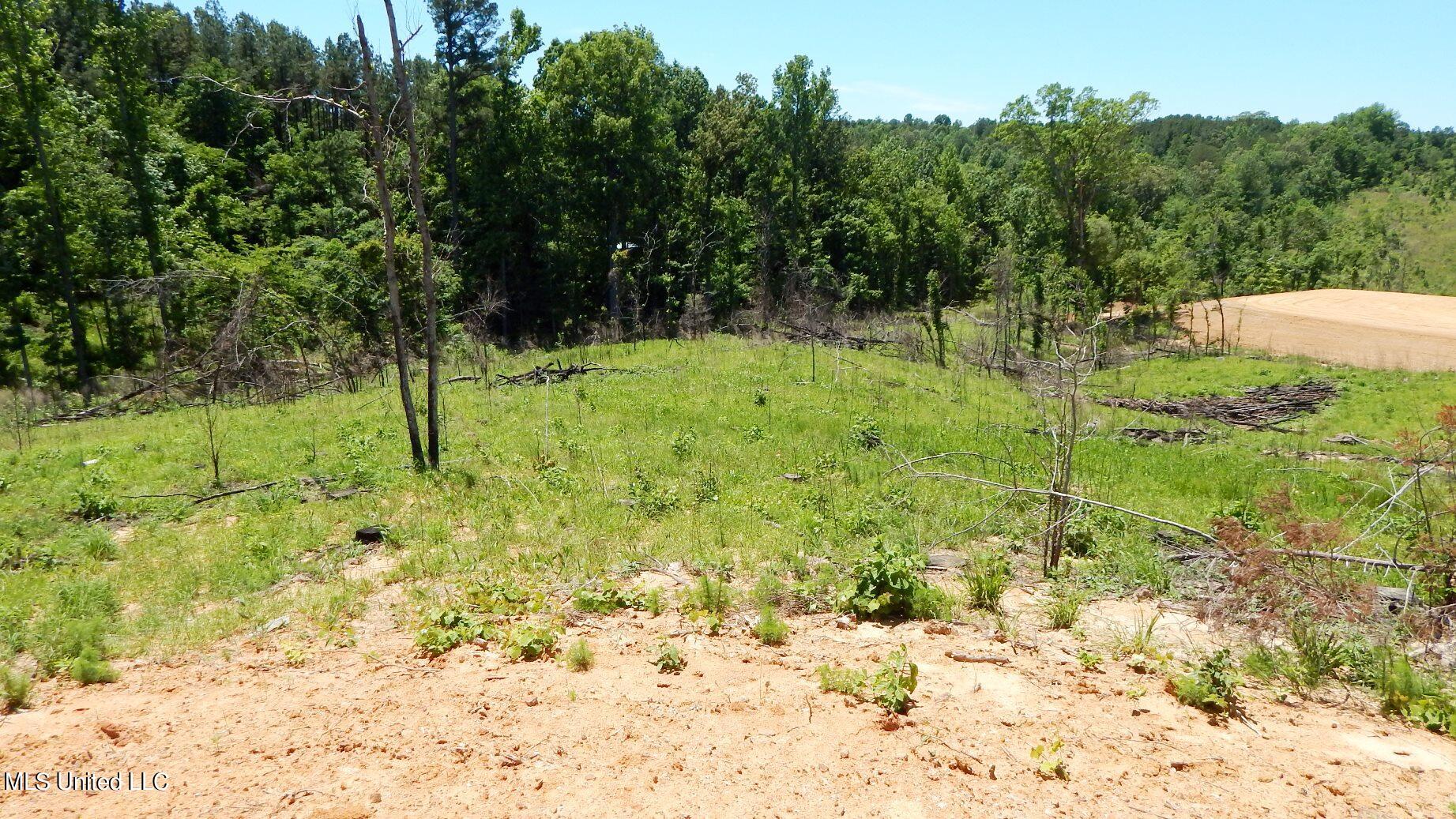 806 Hugh White State Park Road Property Photo 5