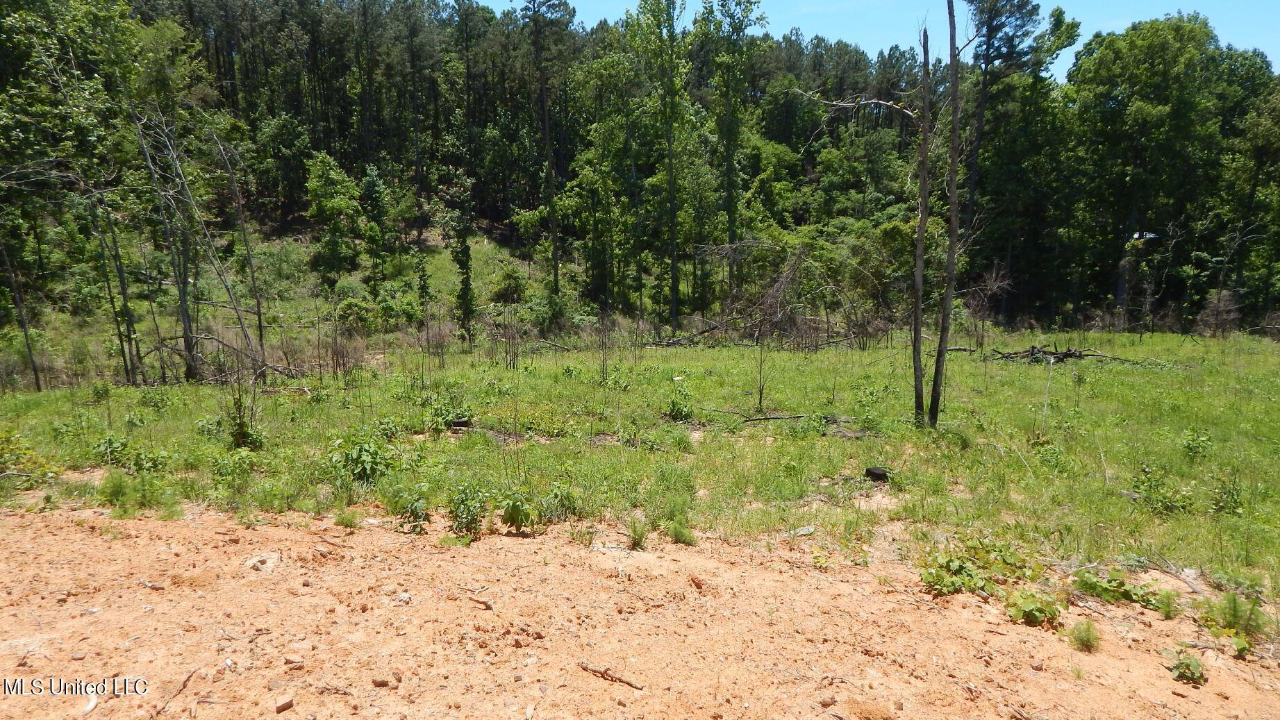 806 Hugh White State Park Road Property Photo 6