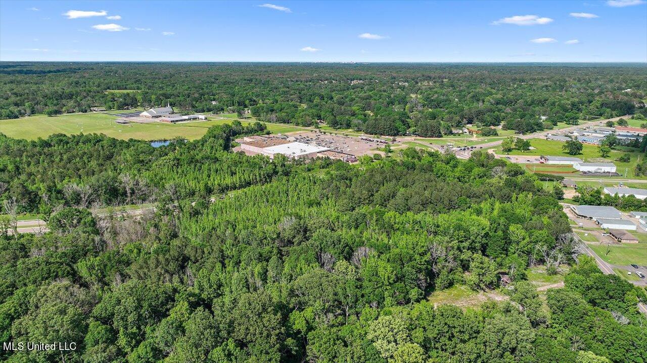 0 Hinds Parkway Property Photo 15