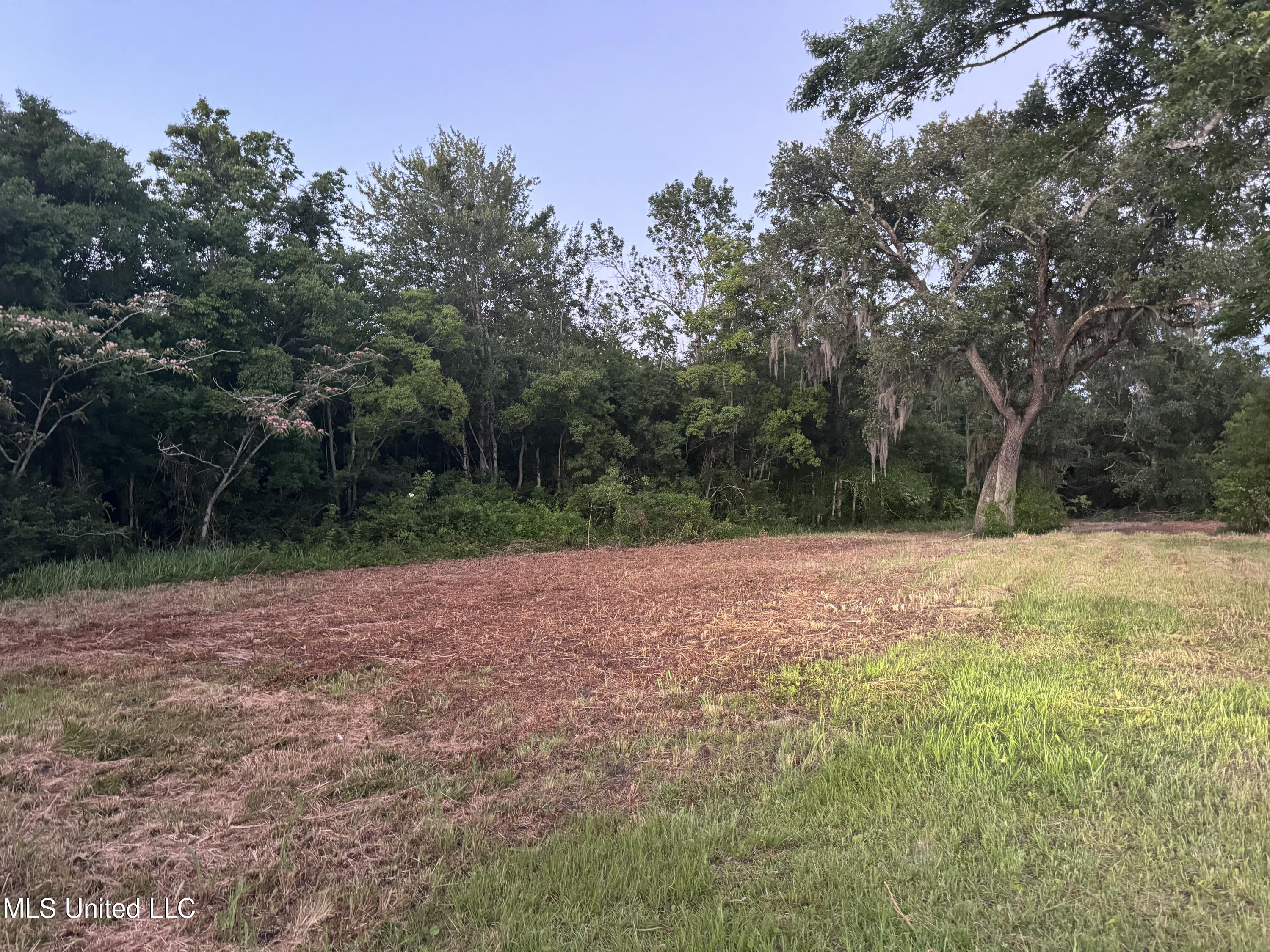 3220 Longfellow Road Property Photo 5