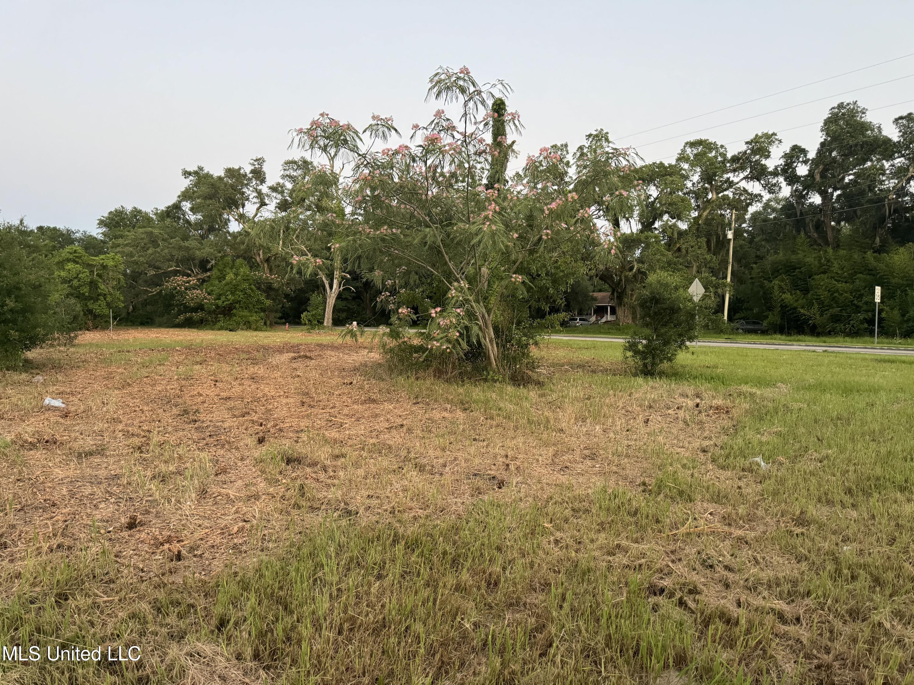 3220 Longfellow Road Property Photo 7
