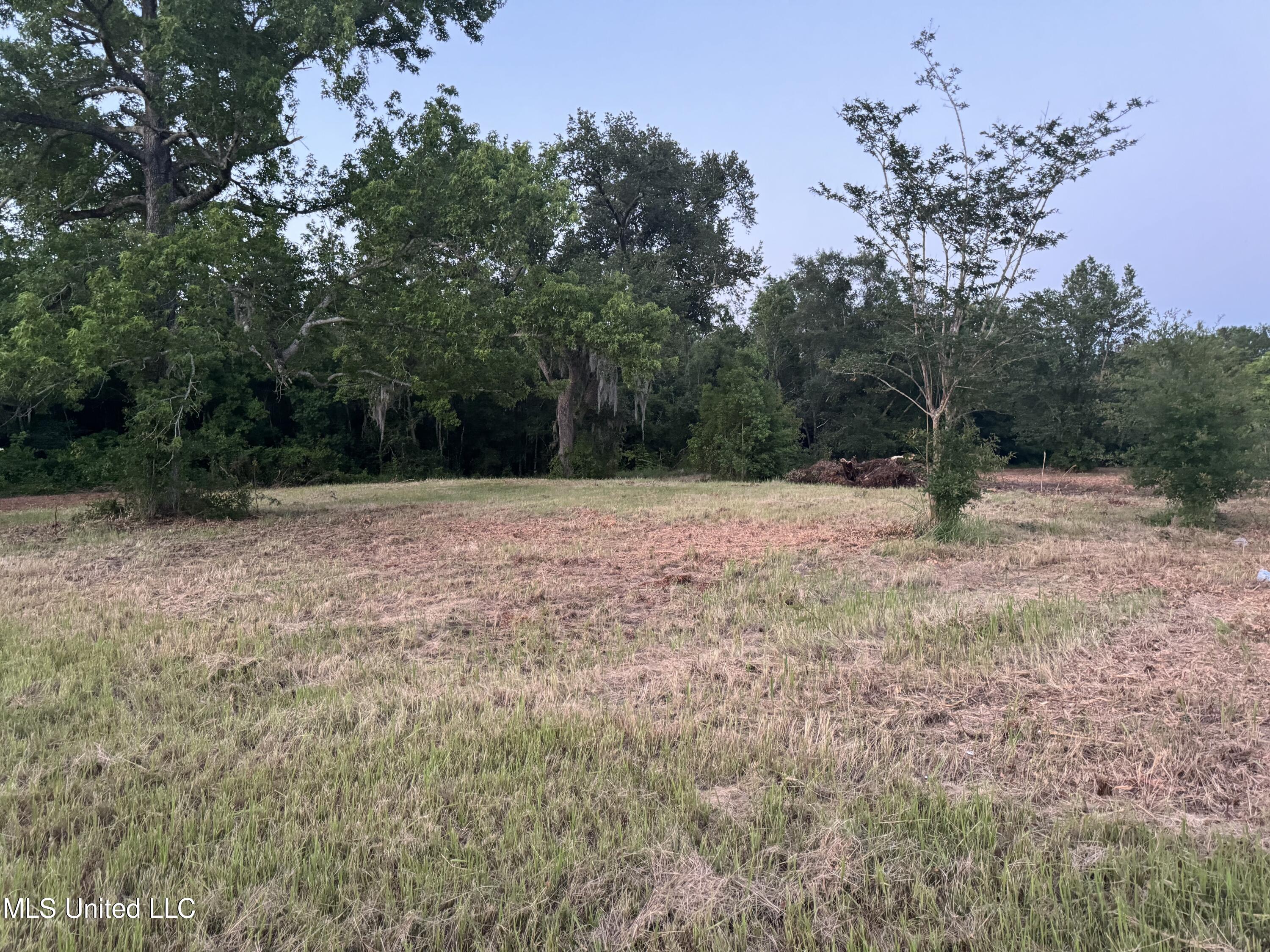 3220 Longfellow Road Property Photo 8