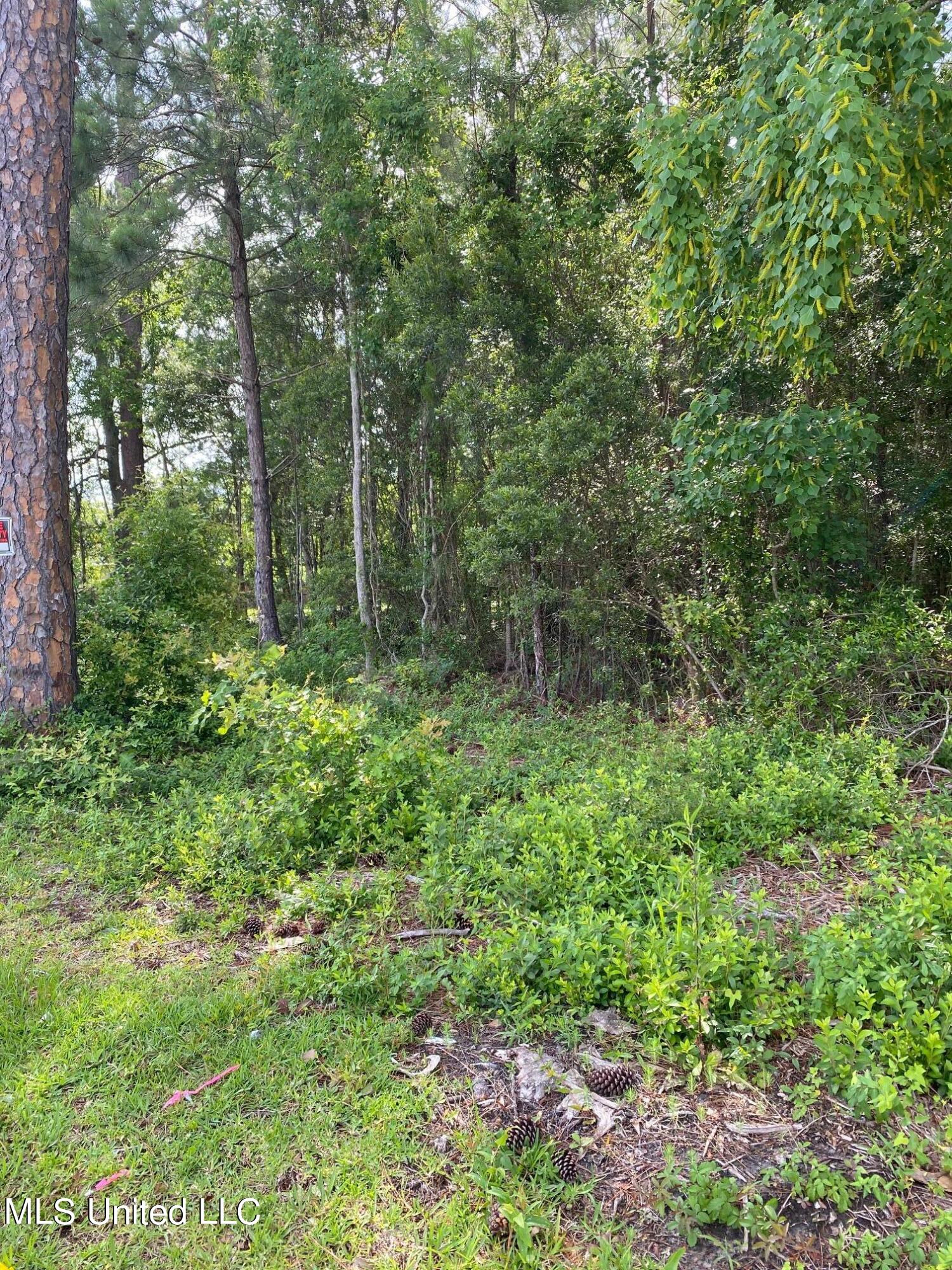 16005 Lemoyne Boulevard Property Photo 3