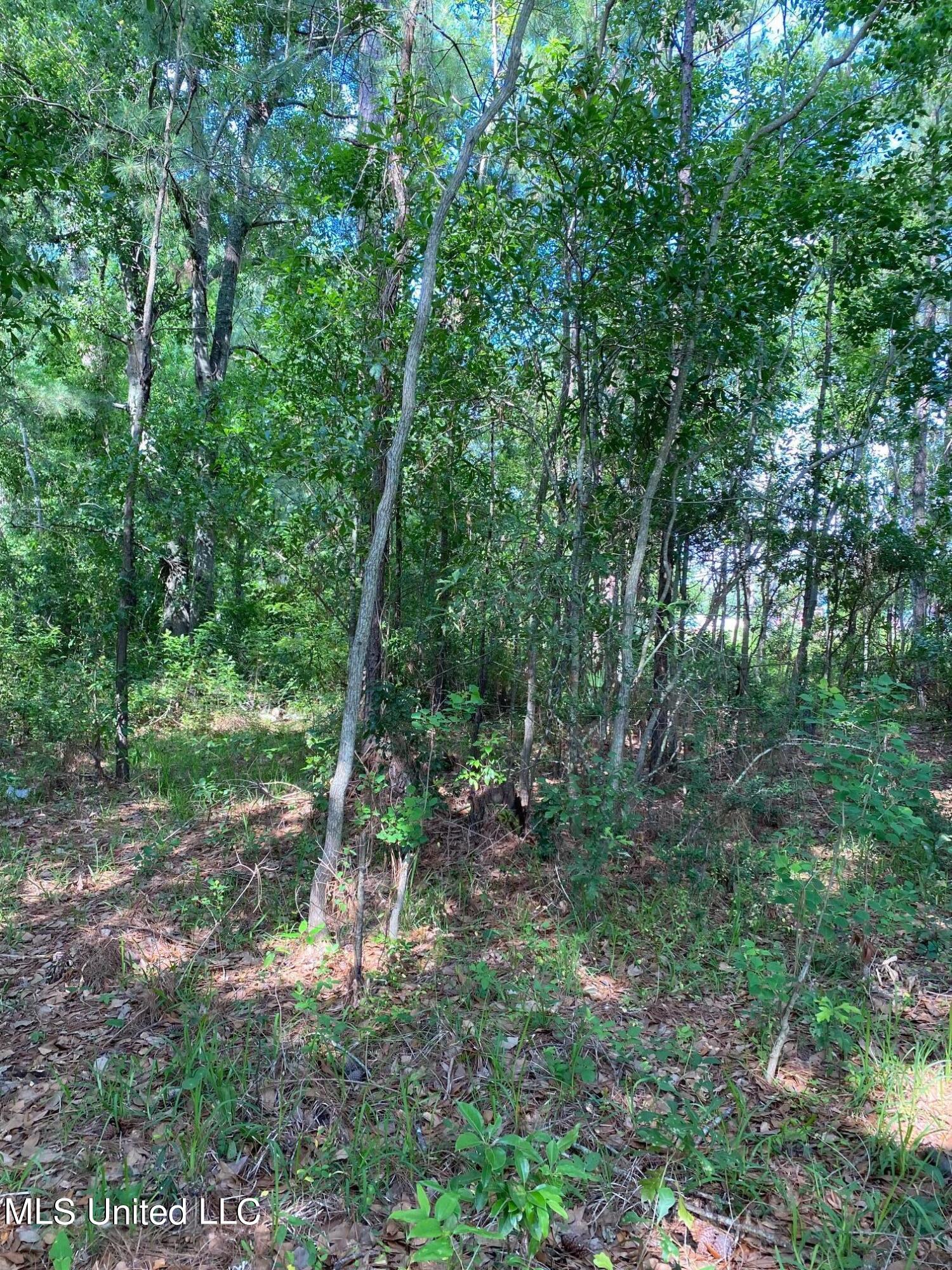 16005 Lemoyne Boulevard Property Photo 6