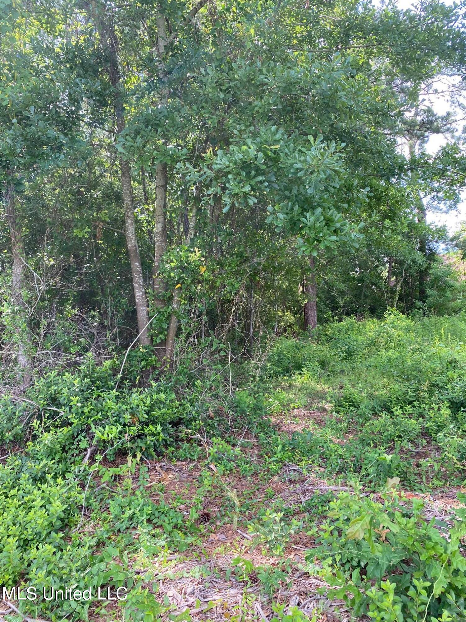 16005 Lemoyne Boulevard Property Photo 7