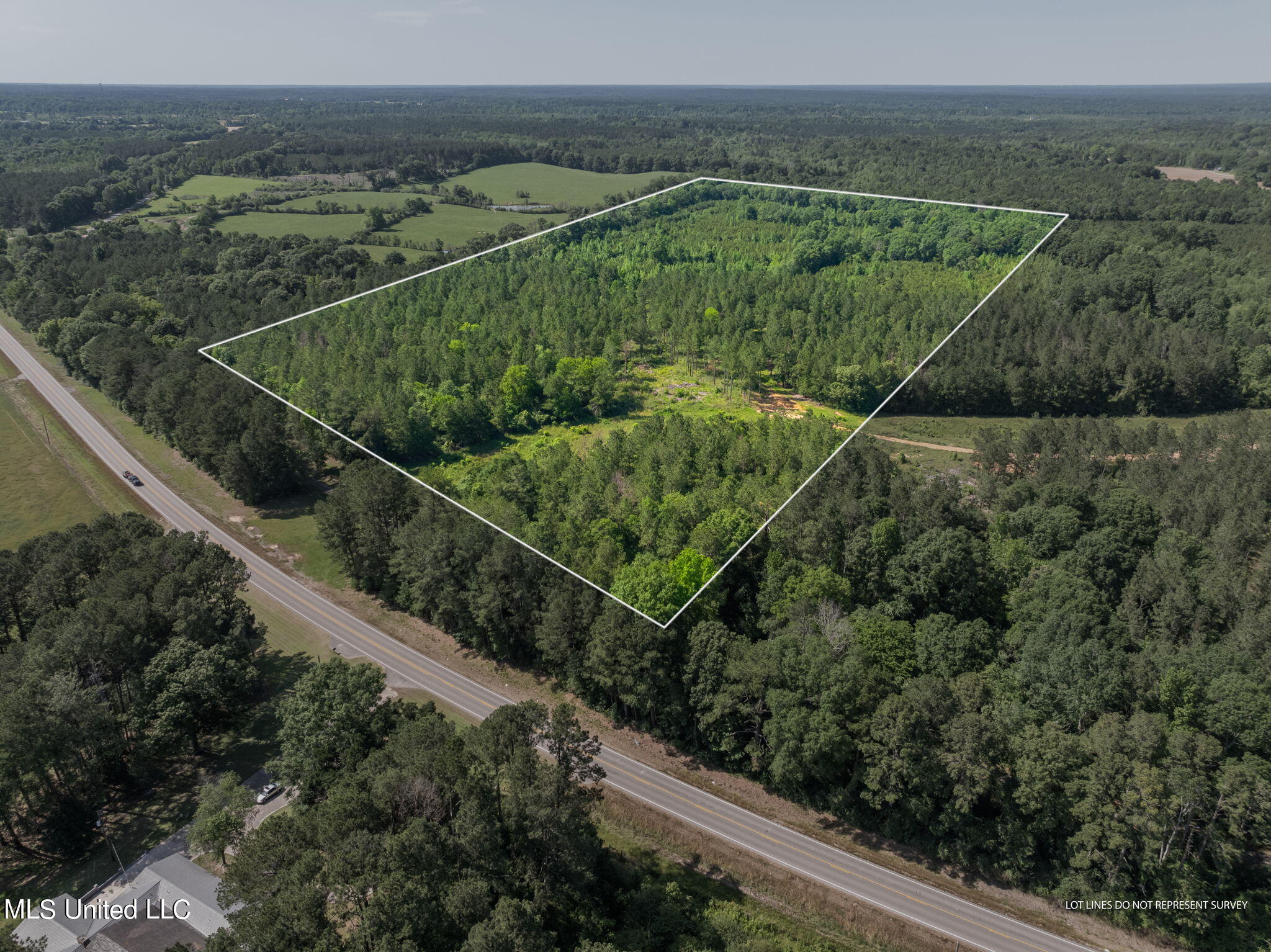 45 Acres Hwy 42 Property Photo 1