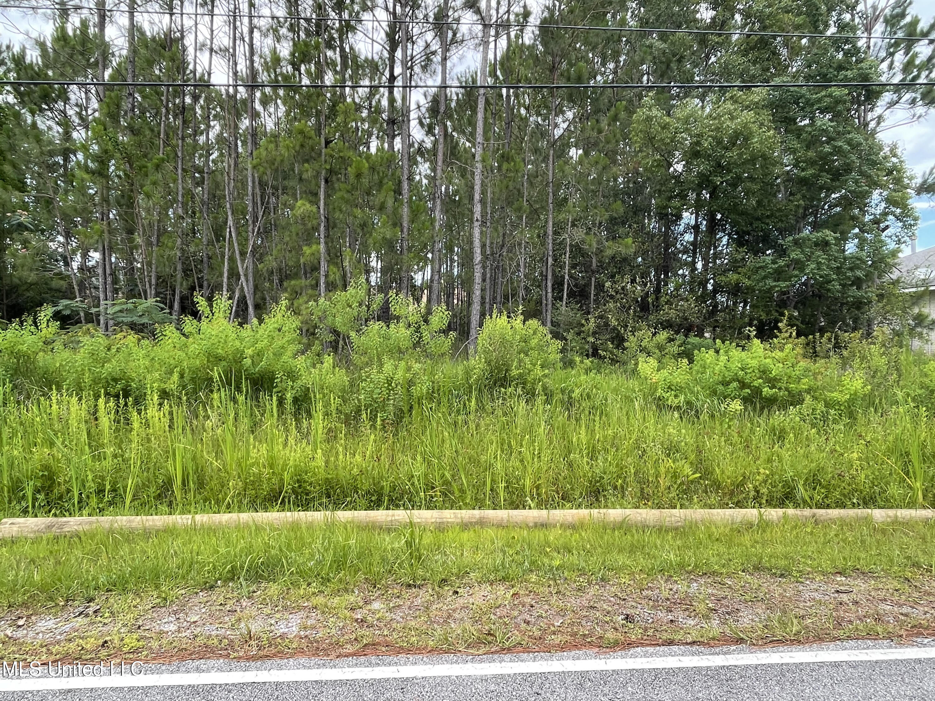14808 Dismuke Avenue Property Photo 1