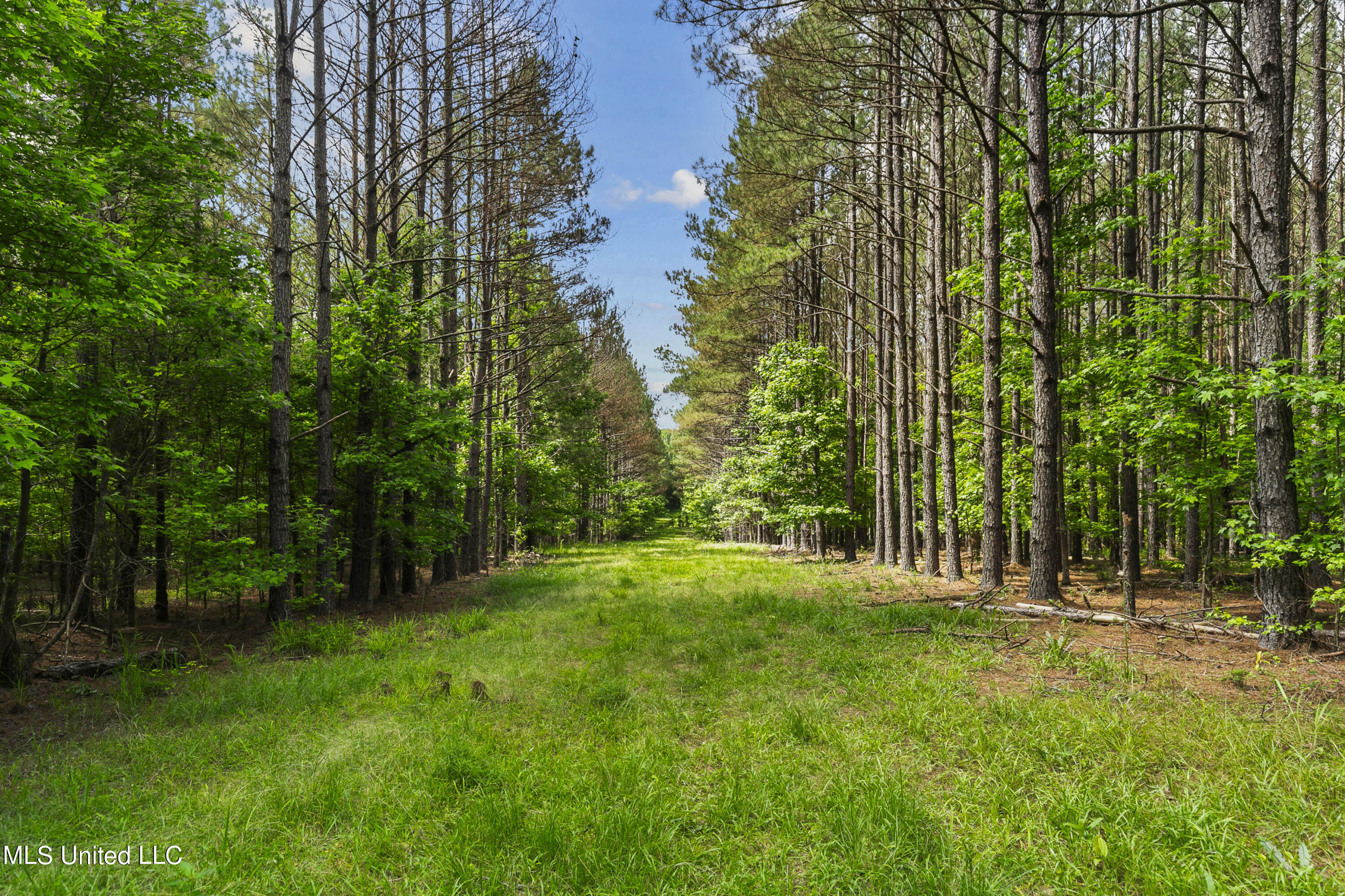 Spring Road Property Photo 2