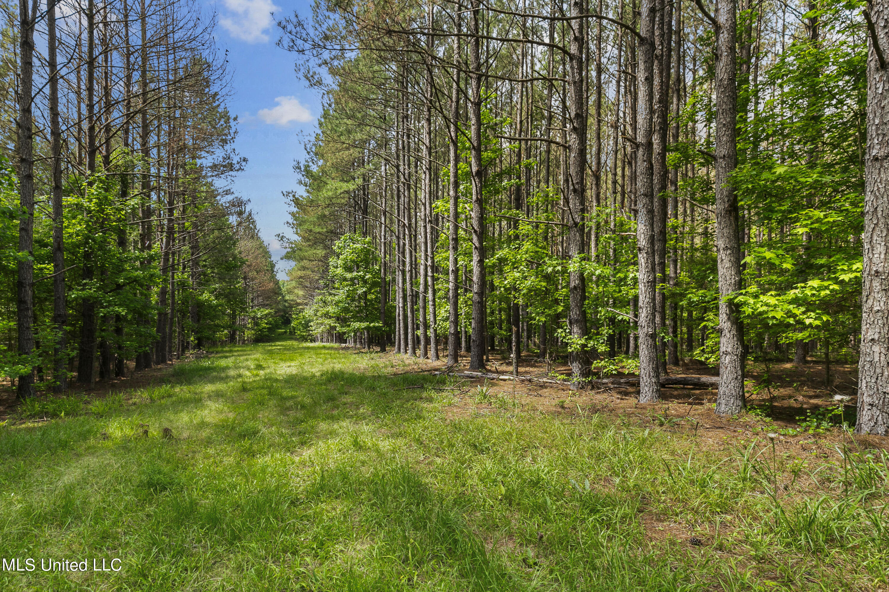 Spring Road Property Photo 3