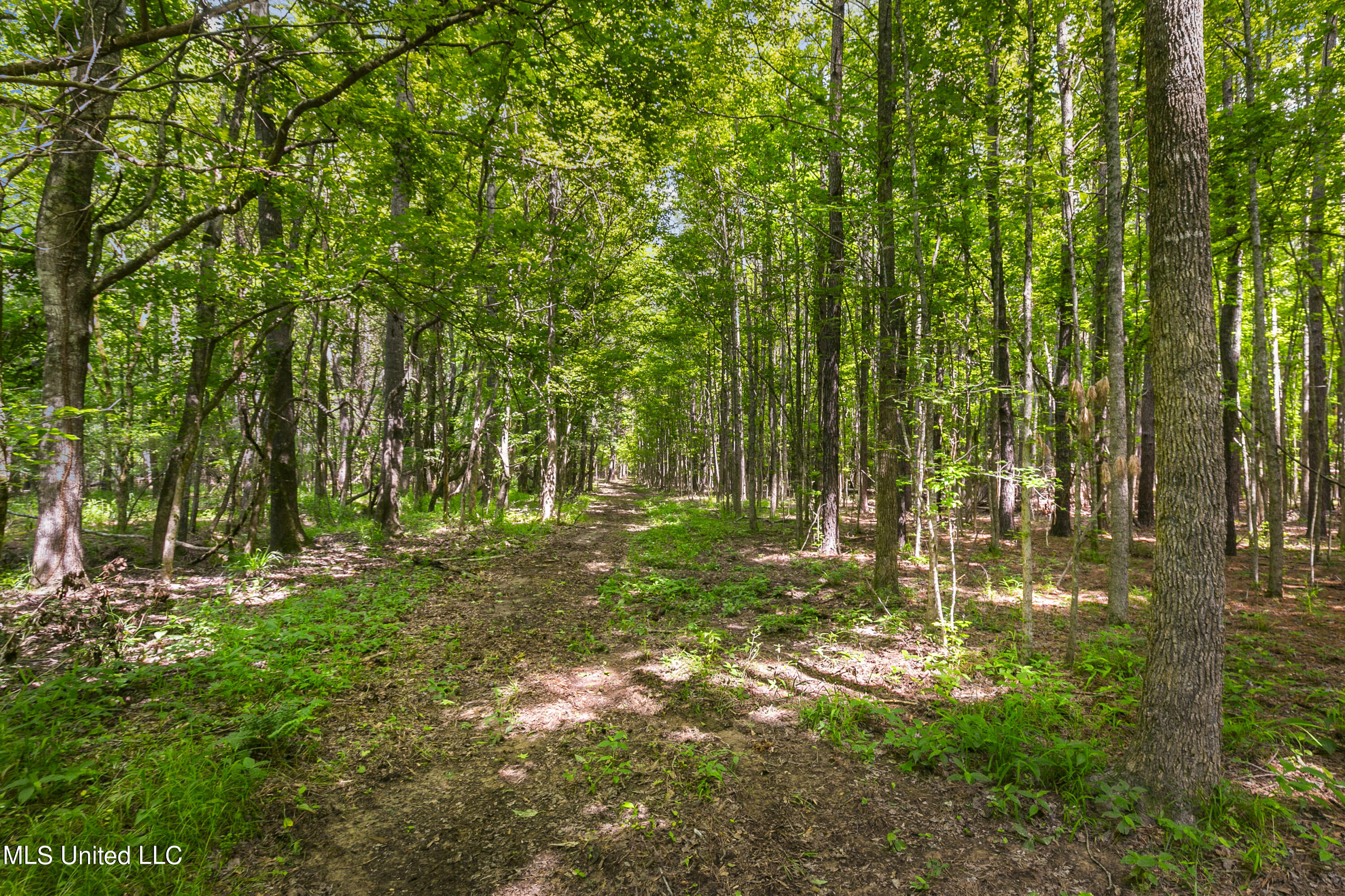Spring Road Property Photo 8