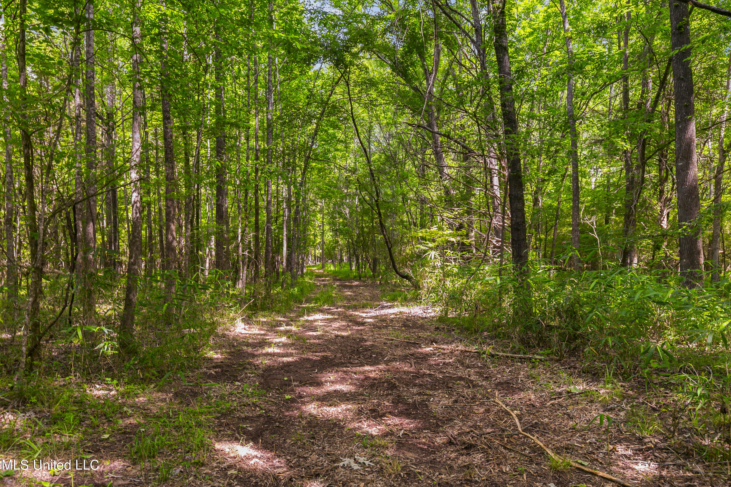 Spring Road Property Photo 14