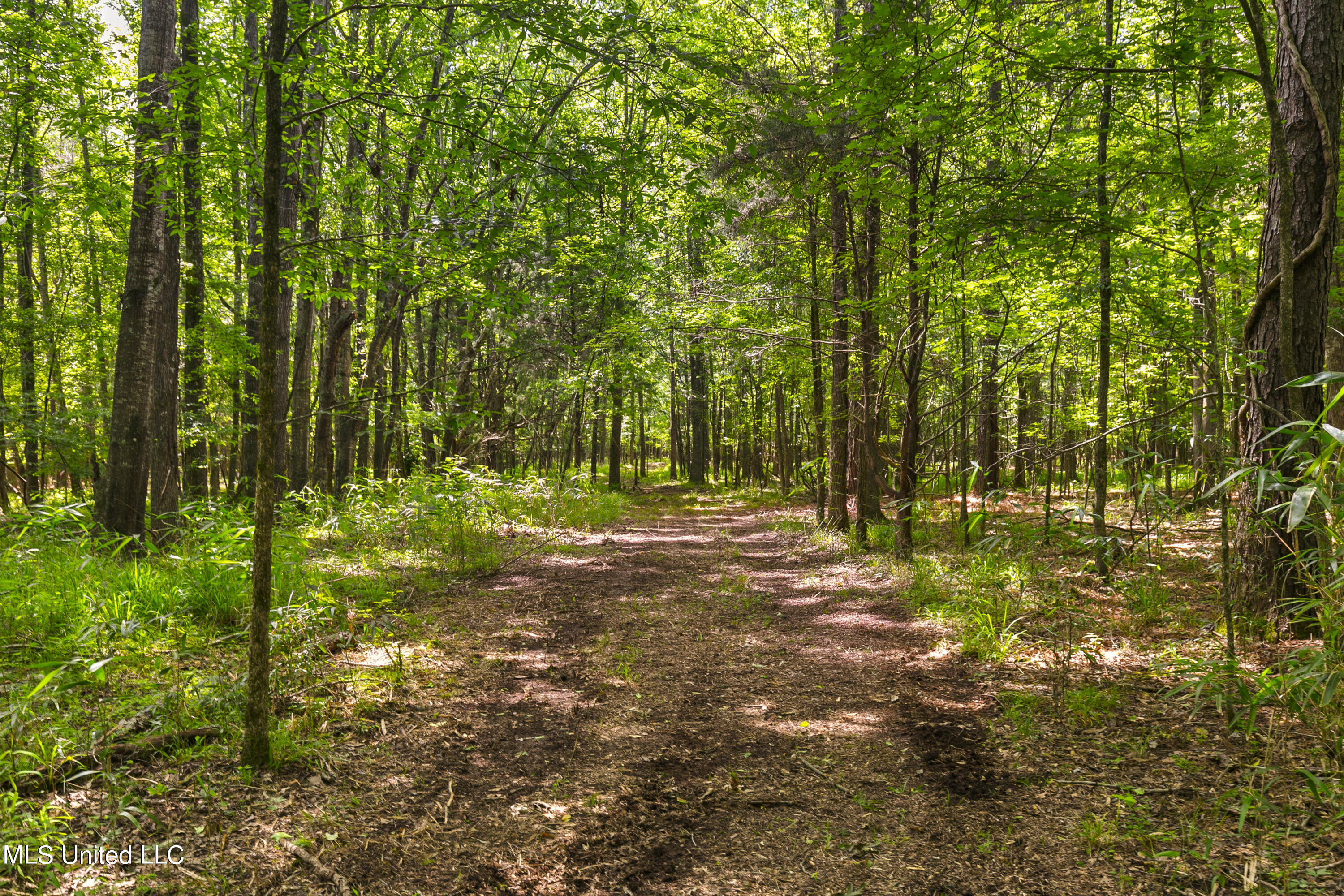Spring Road Property Photo 15