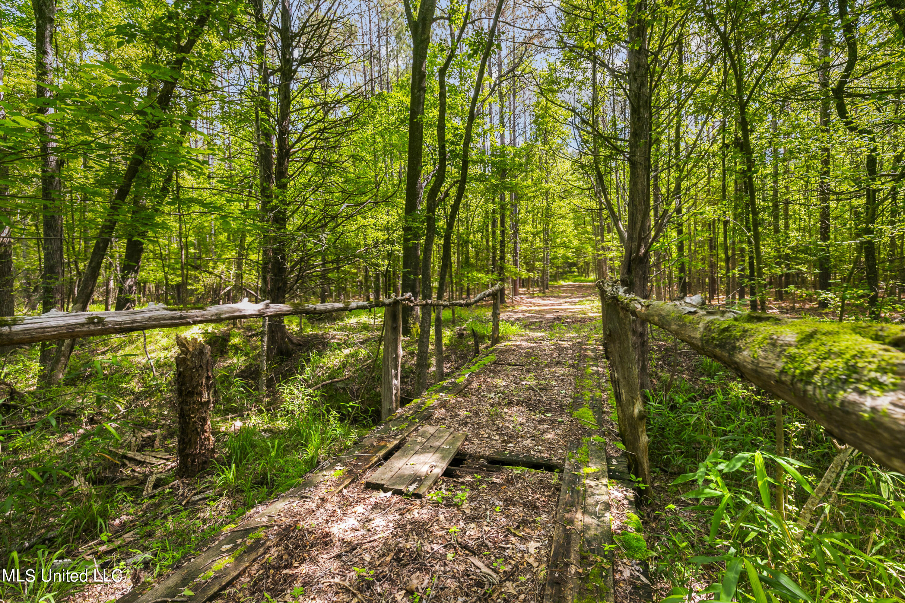 Spring Road Property Photo 17