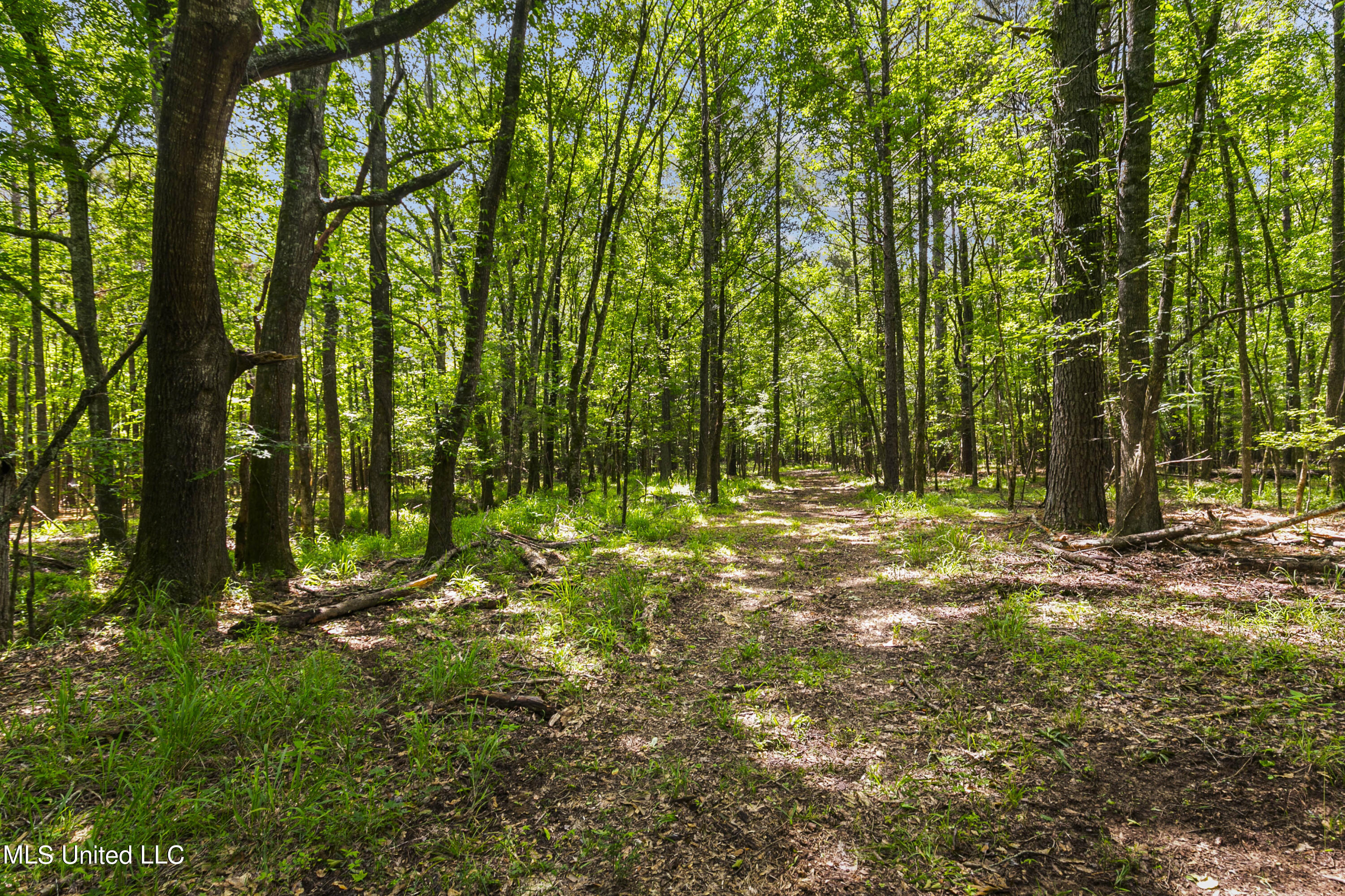 Spring Road Property Photo 18