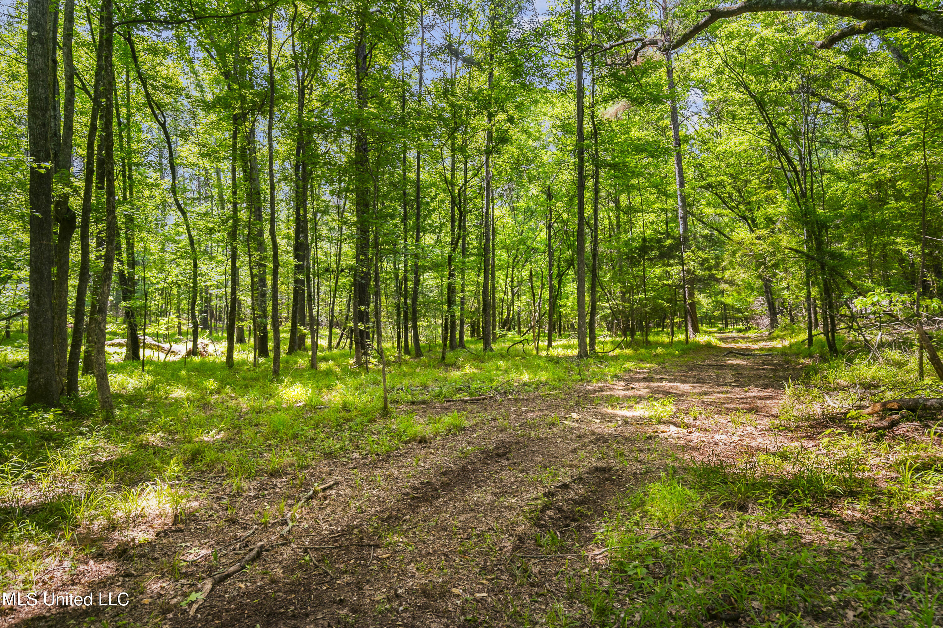 Spring Road Property Photo 22