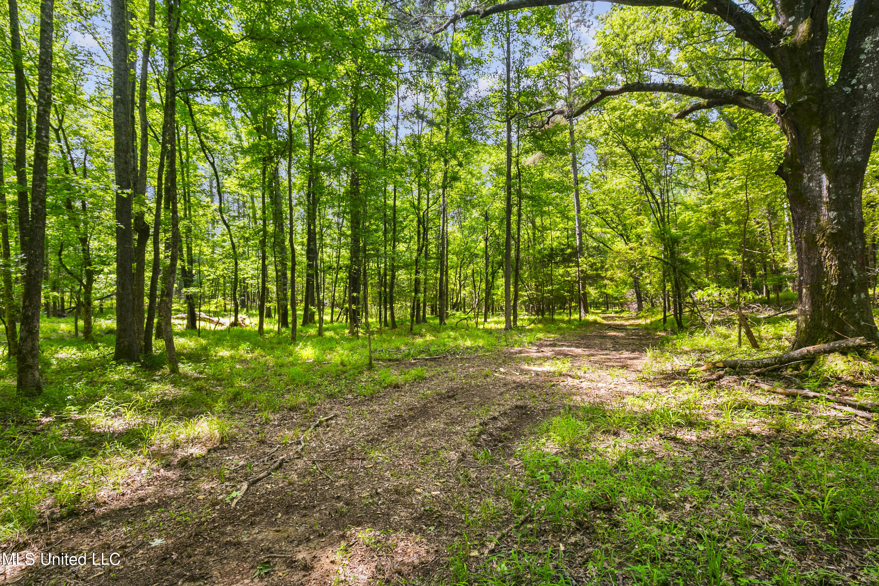 Spring Road Property Photo 23
