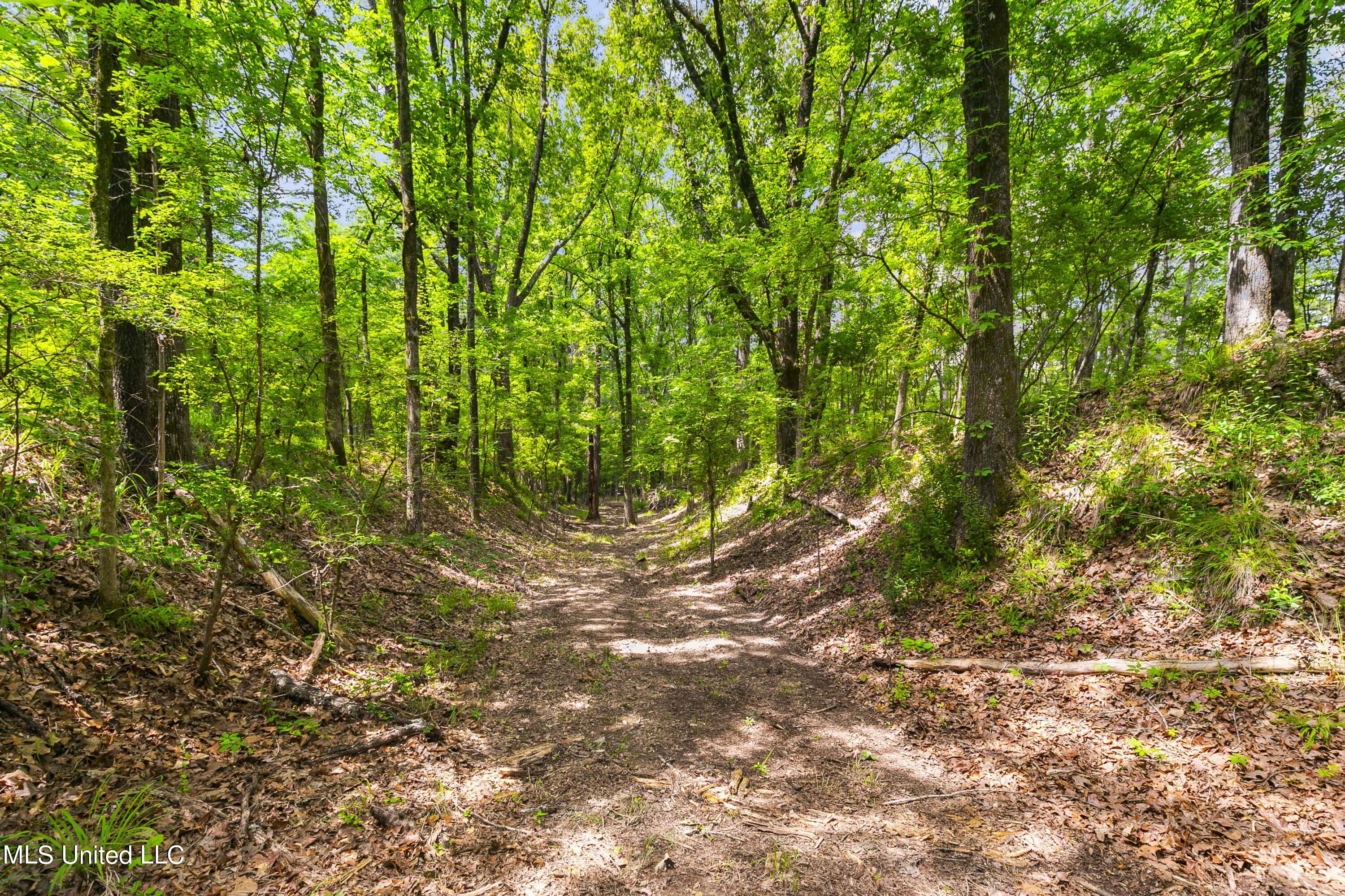 Spring Road Property Photo 24