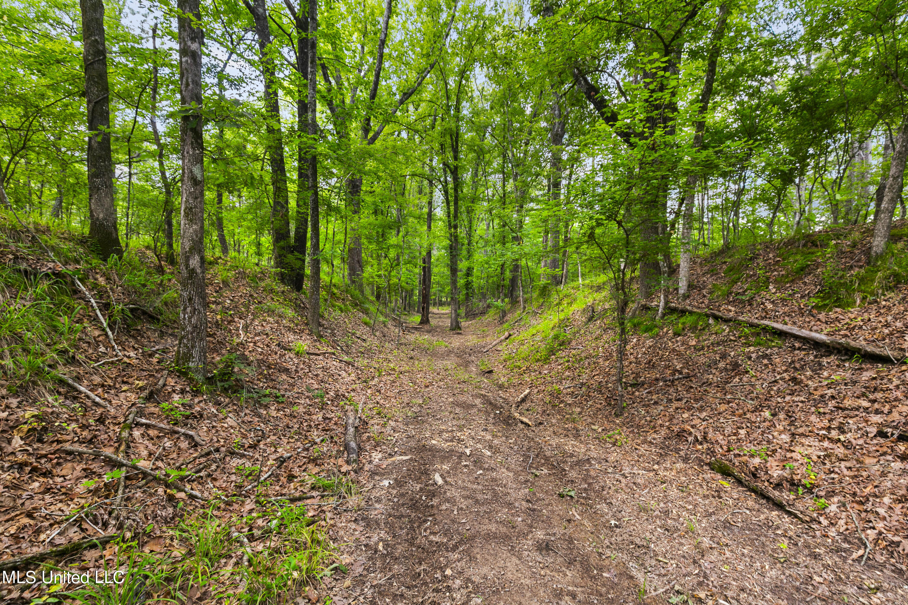 Spring Road Property Photo 26