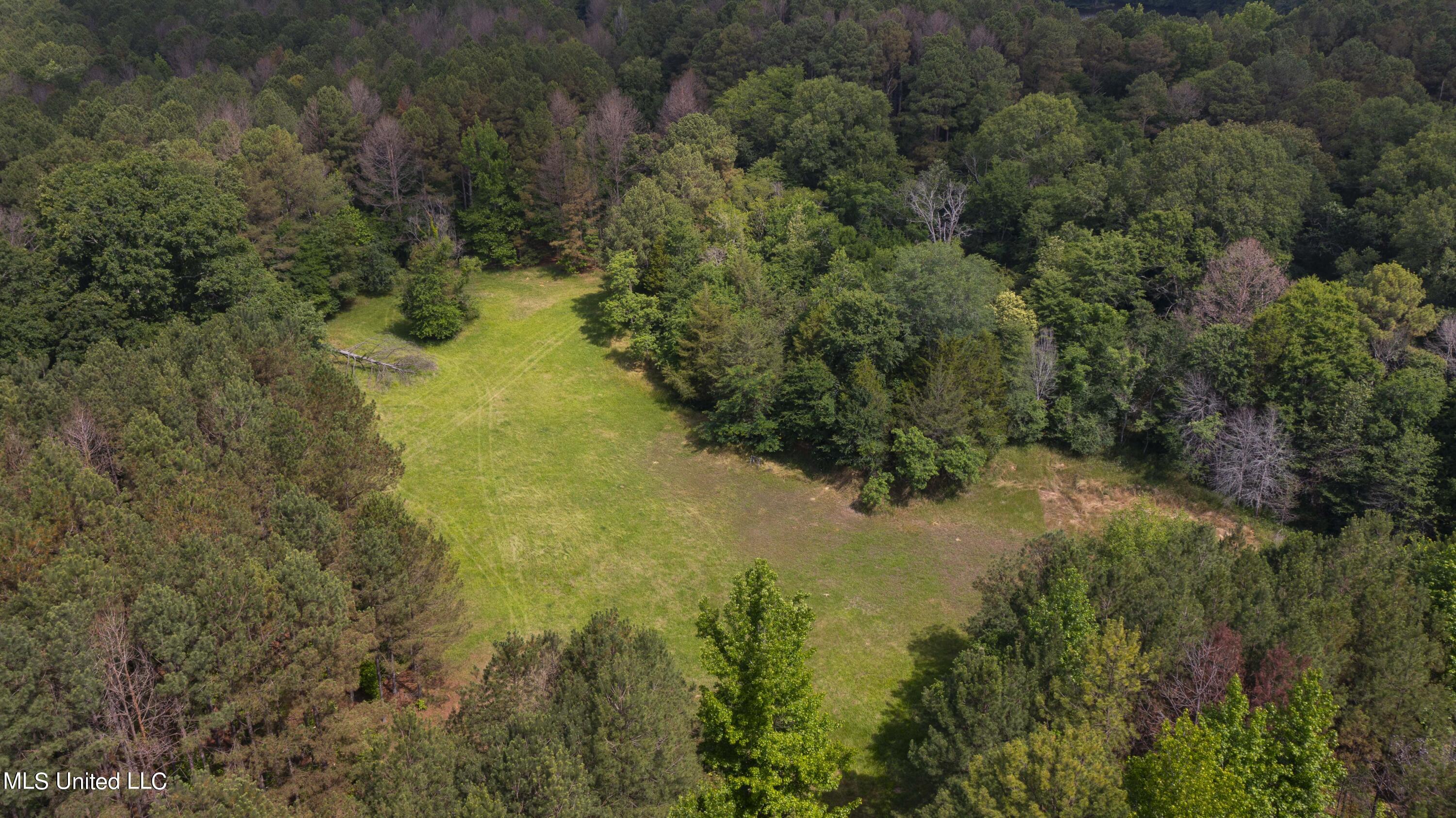 Spring Road Property Photo 30
