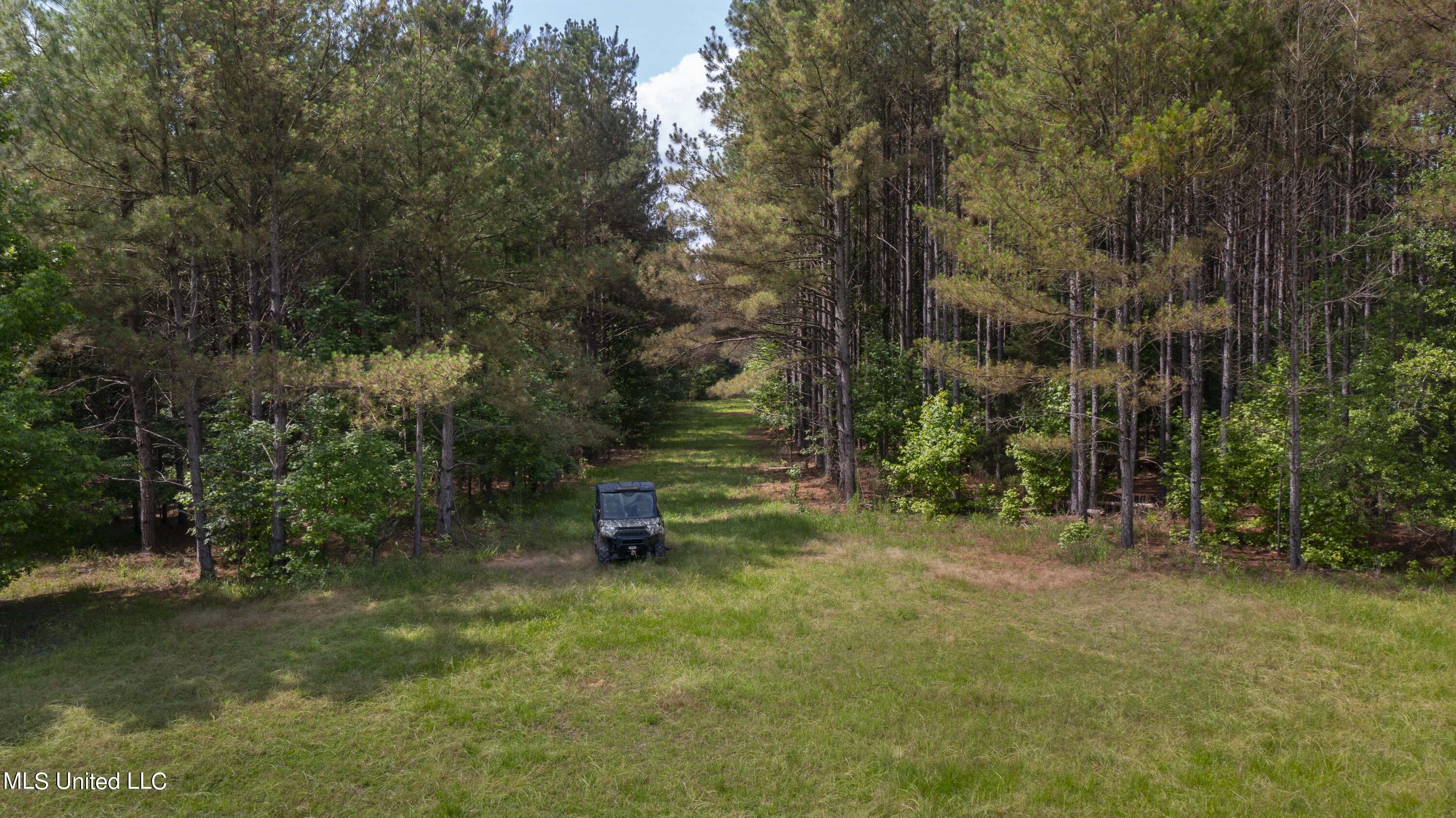 Spring Road Property Photo 31