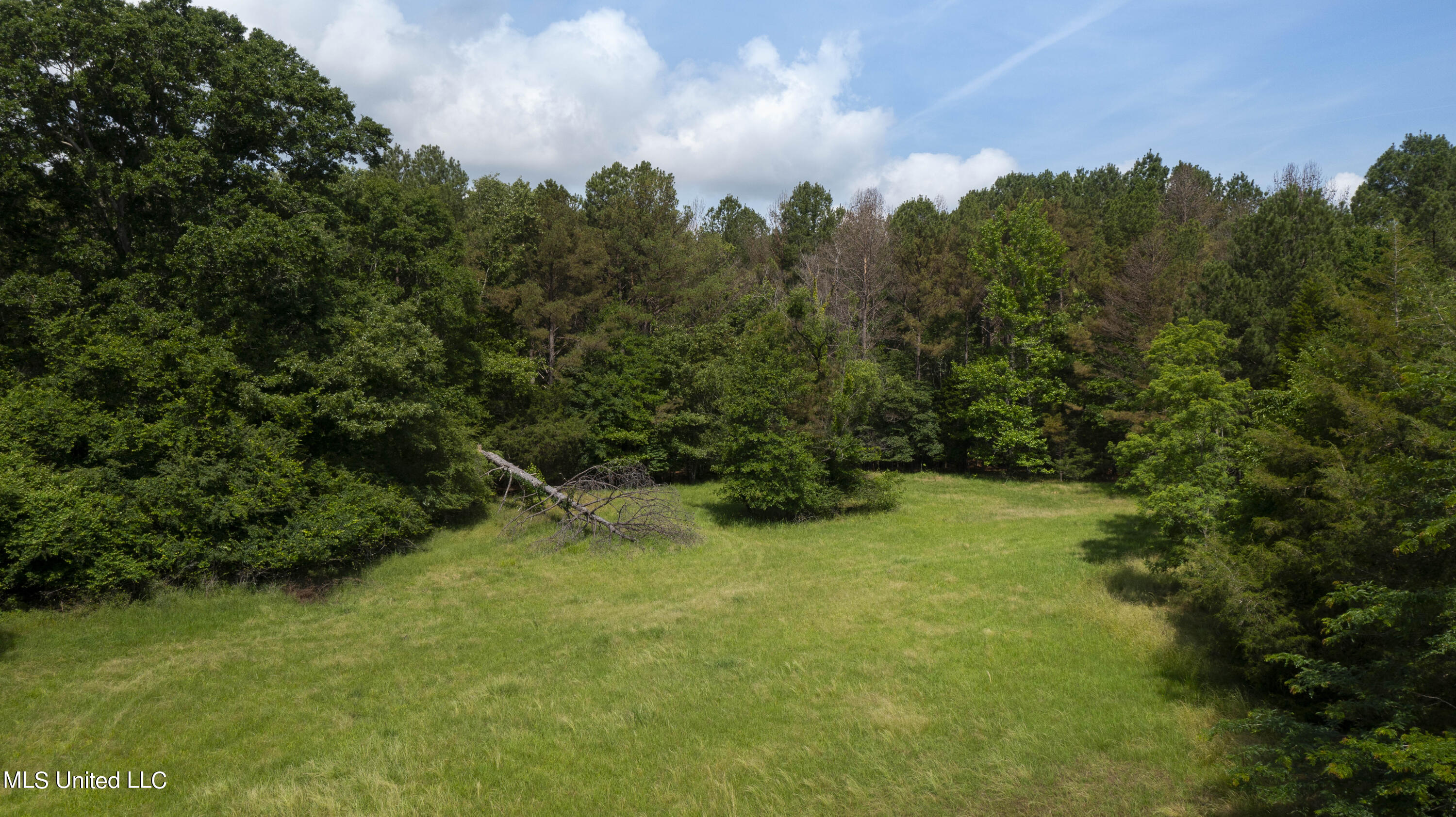 Spring Road Property Photo 32