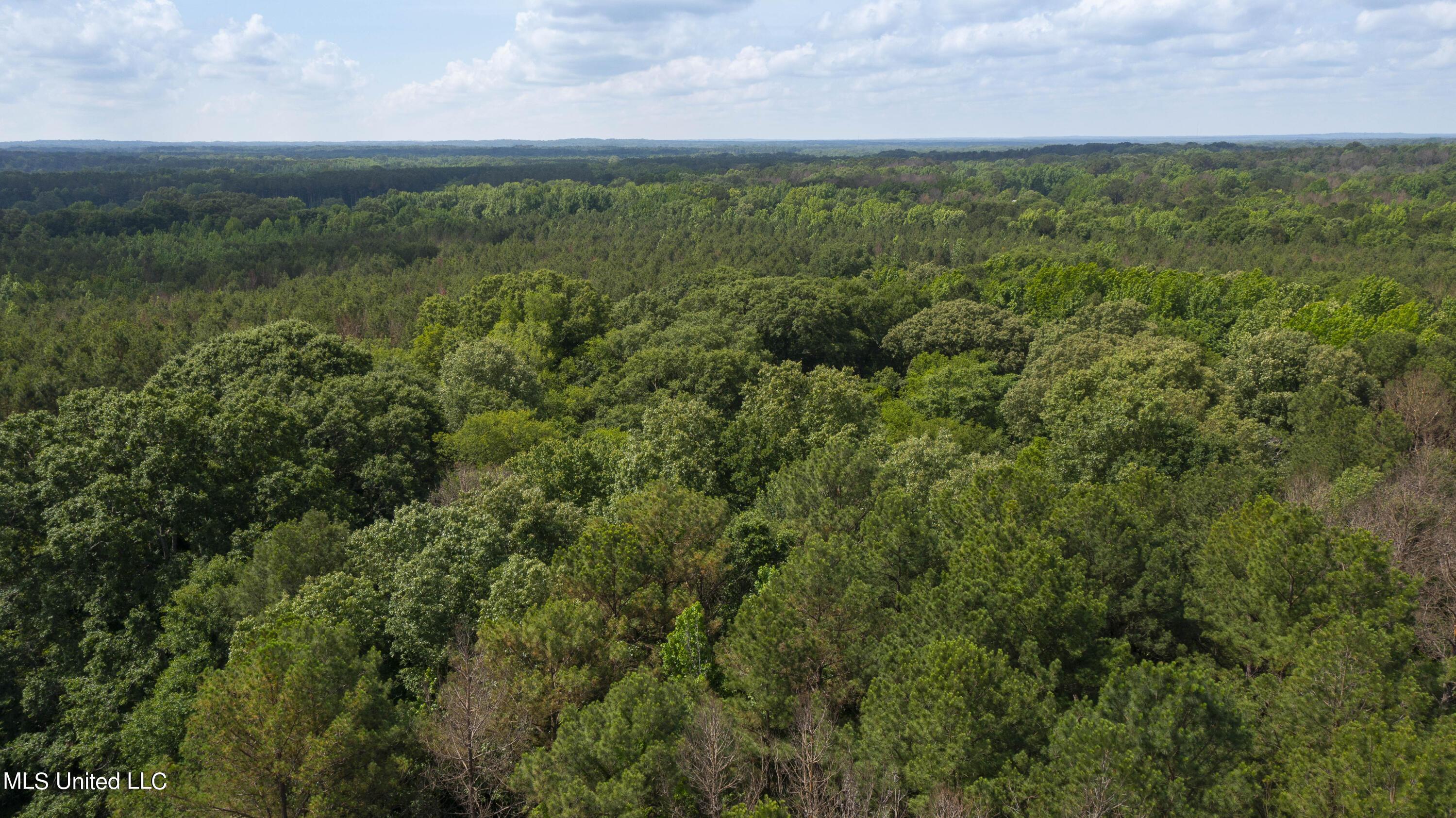 Spring Road Property Photo 33
