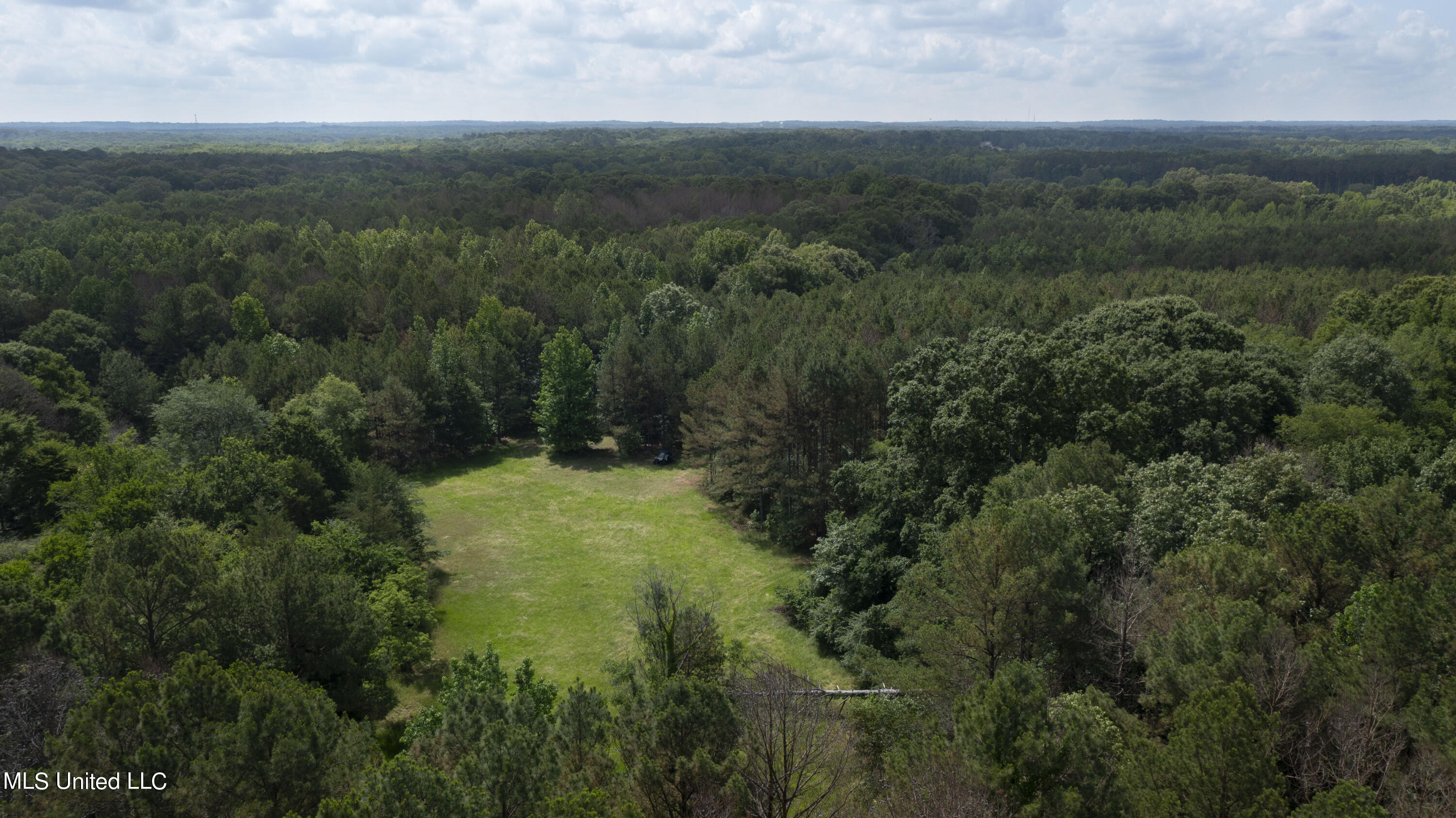 Spring Road Property Photo 34