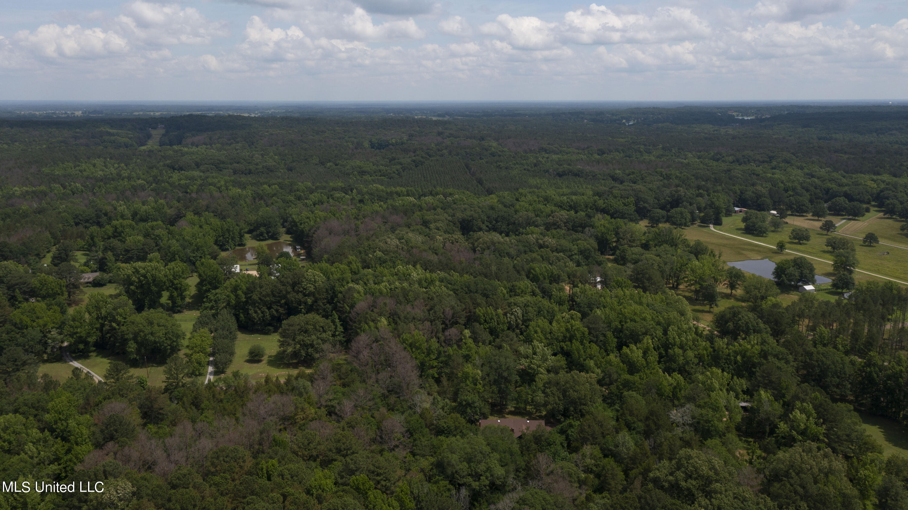 Spring Road Property Photo 42