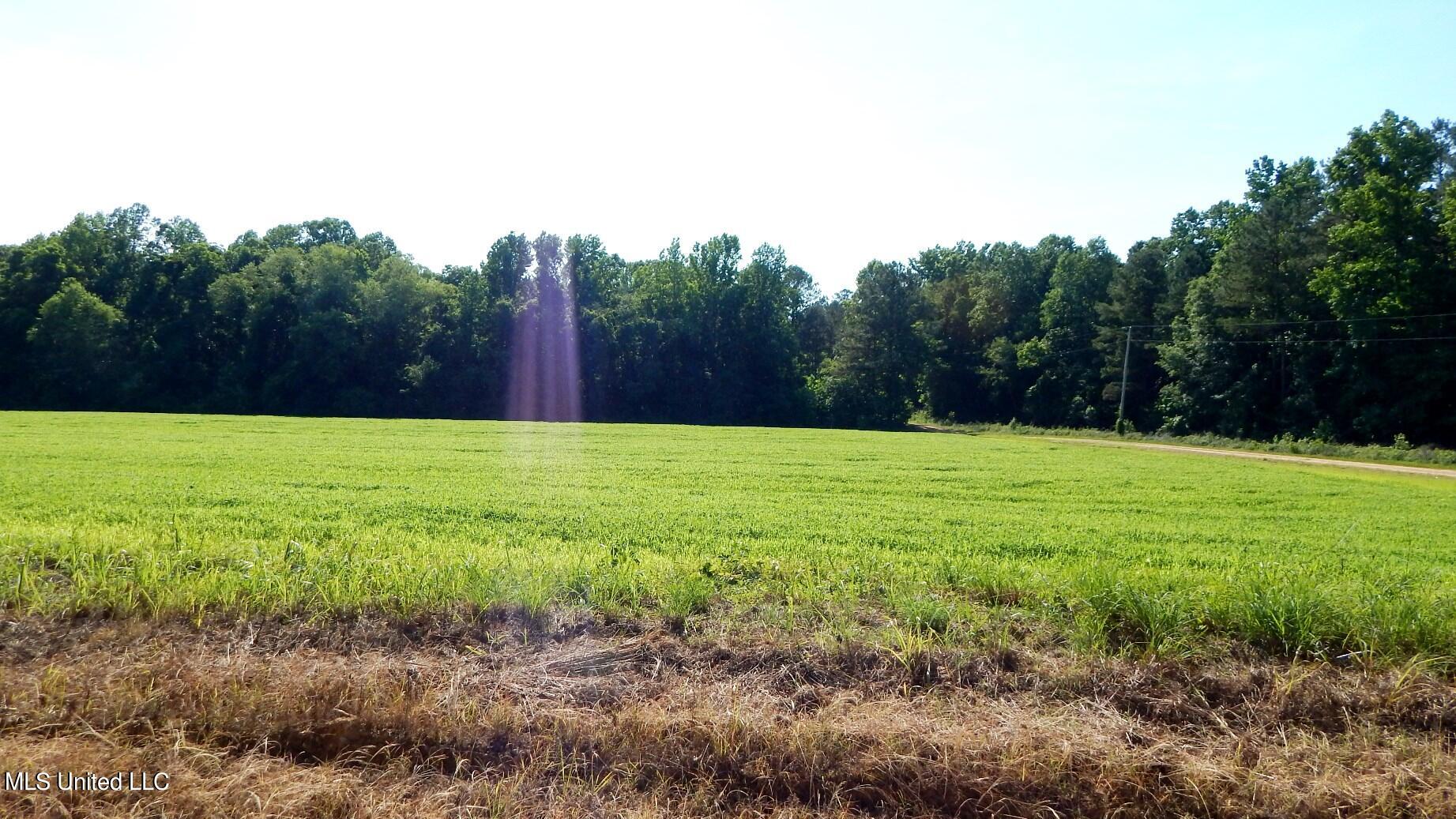 519 247 Country Road Property Photo 1