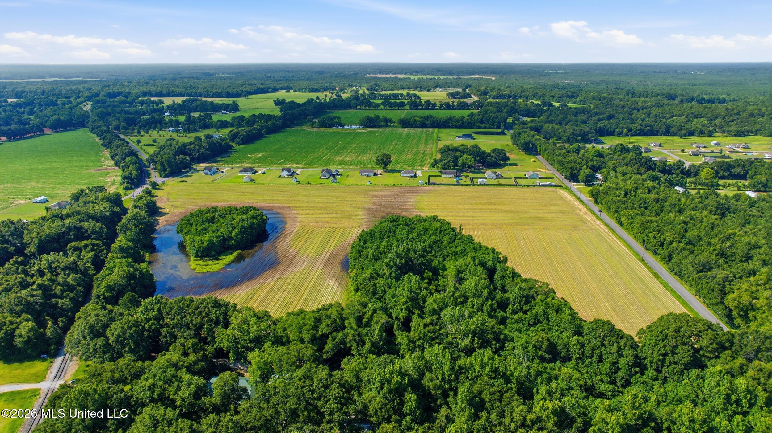 28 Acres Harmon Pope Road Property Photo 7