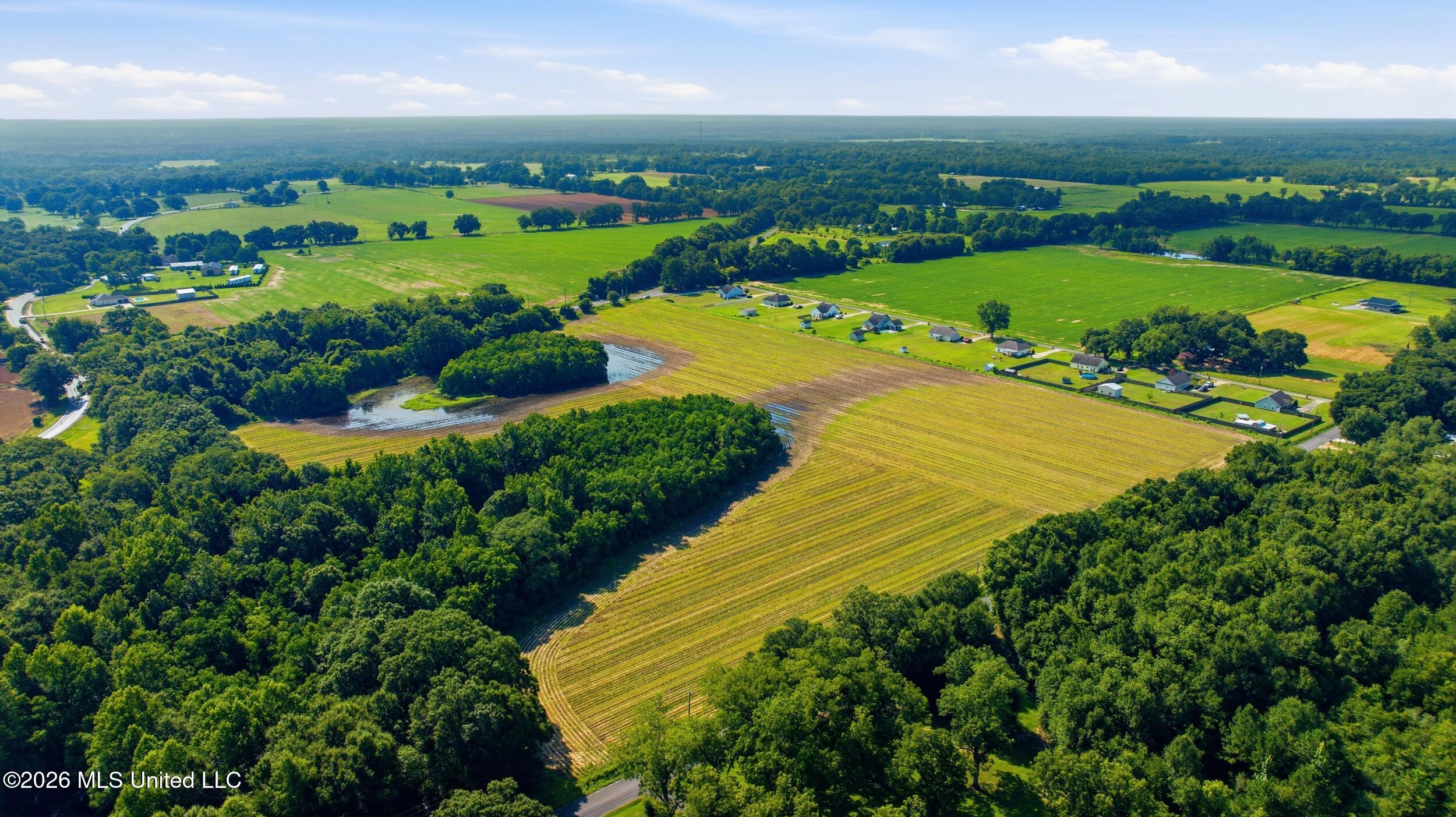 28 Acres Harmon Pope Road Property Photo 9