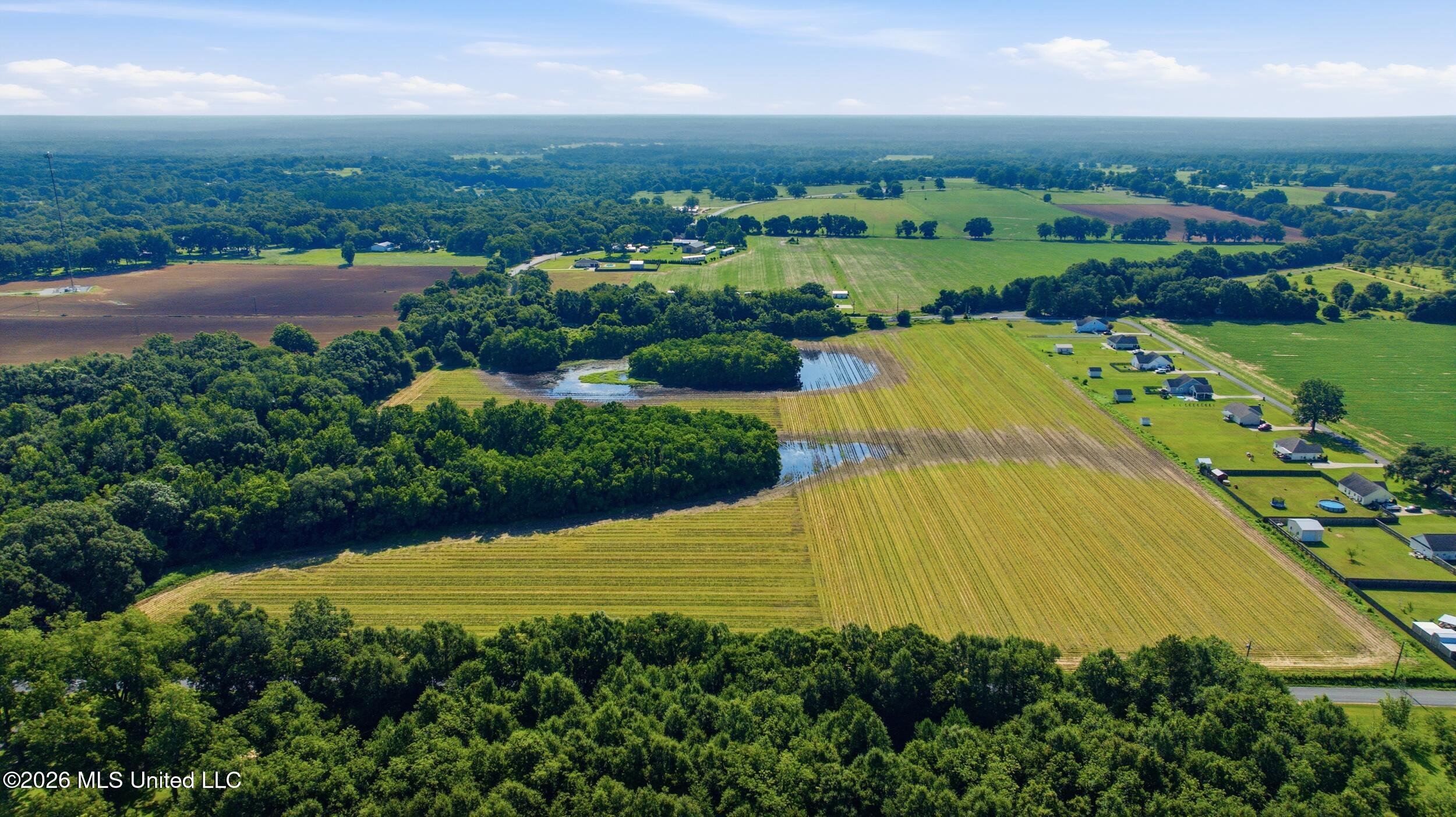 28 Acres Harmon Pope Road Property Photo 10