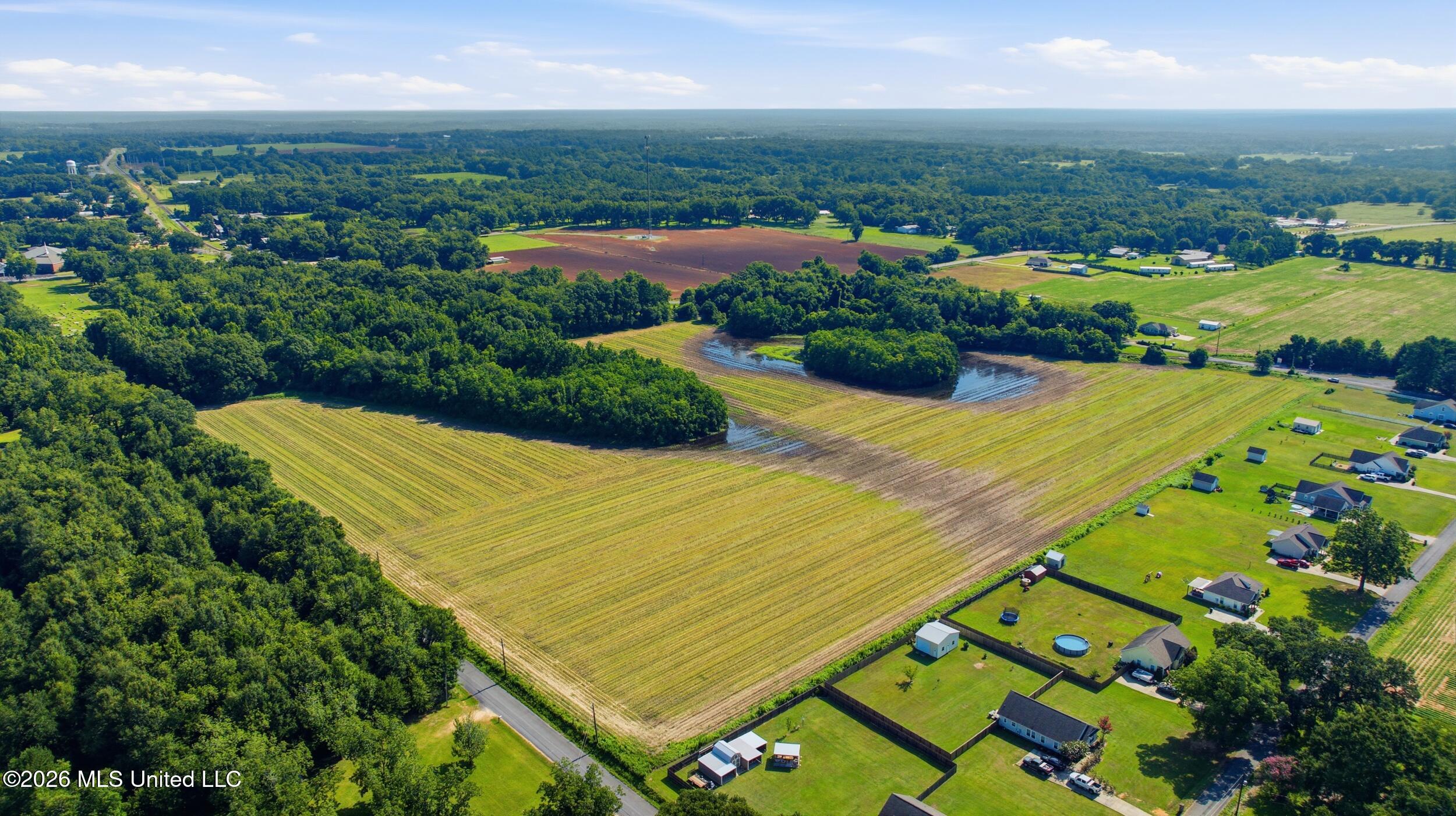 28 Acres Harmon Pope Road Property Photo 11