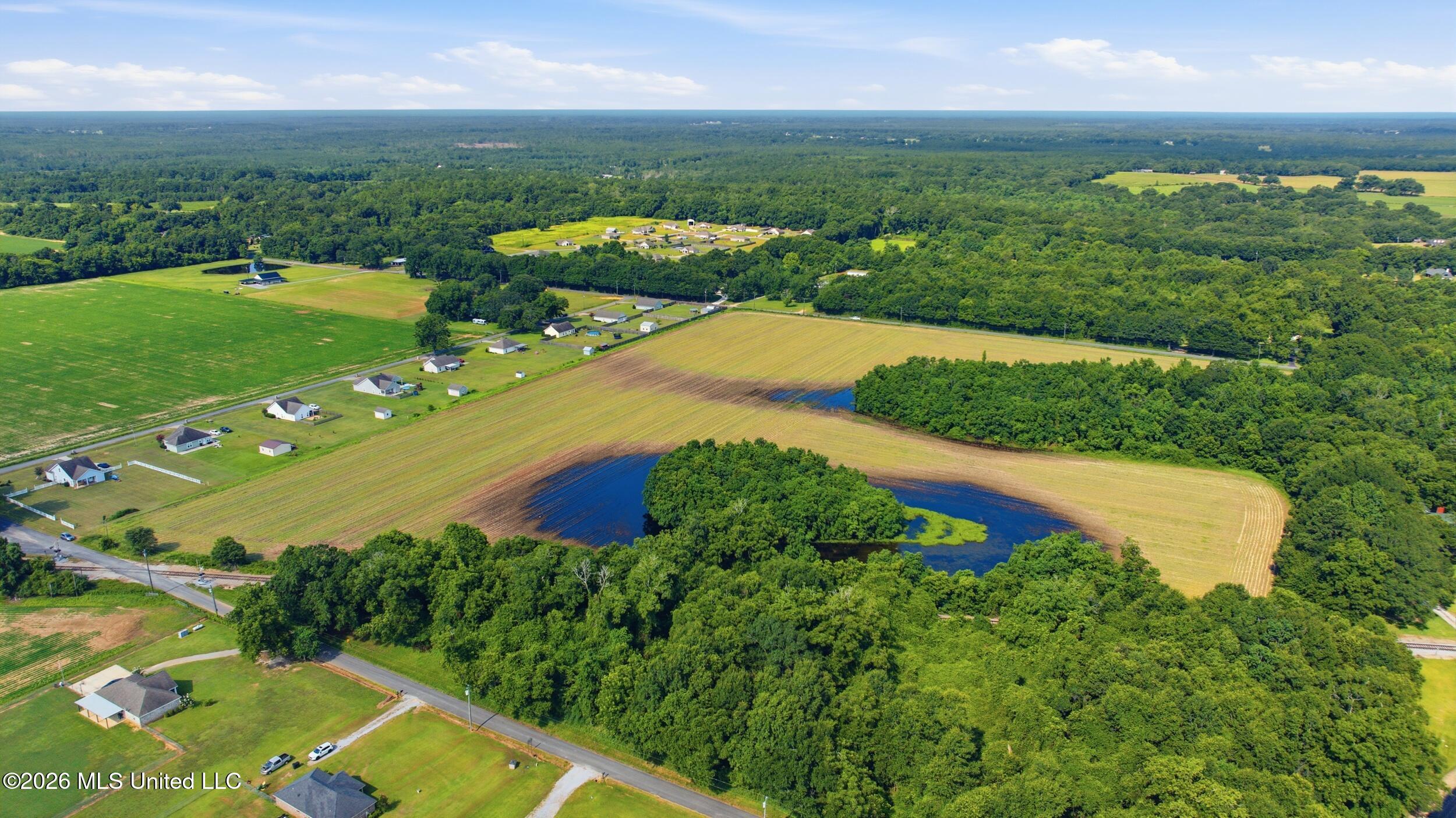 28 Acres Harmon Pope Road Property Photo 13
