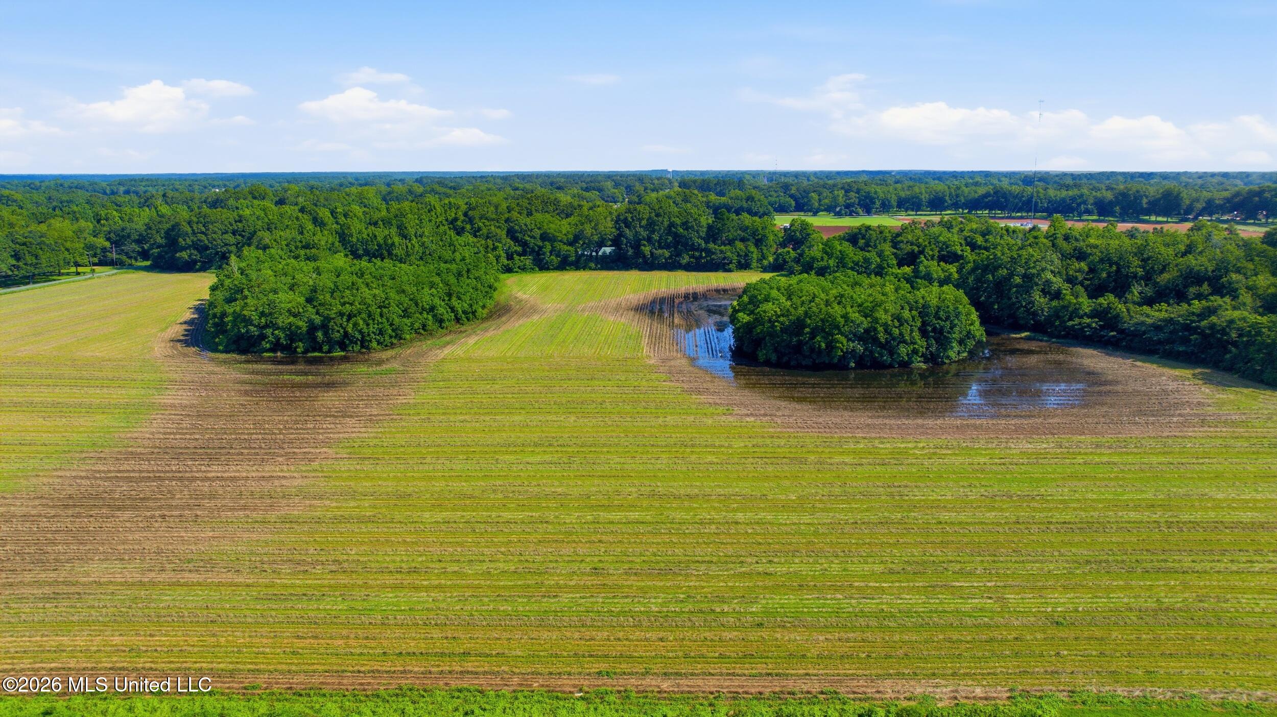 28 Acres Harmon Pope Road Property Photo 17