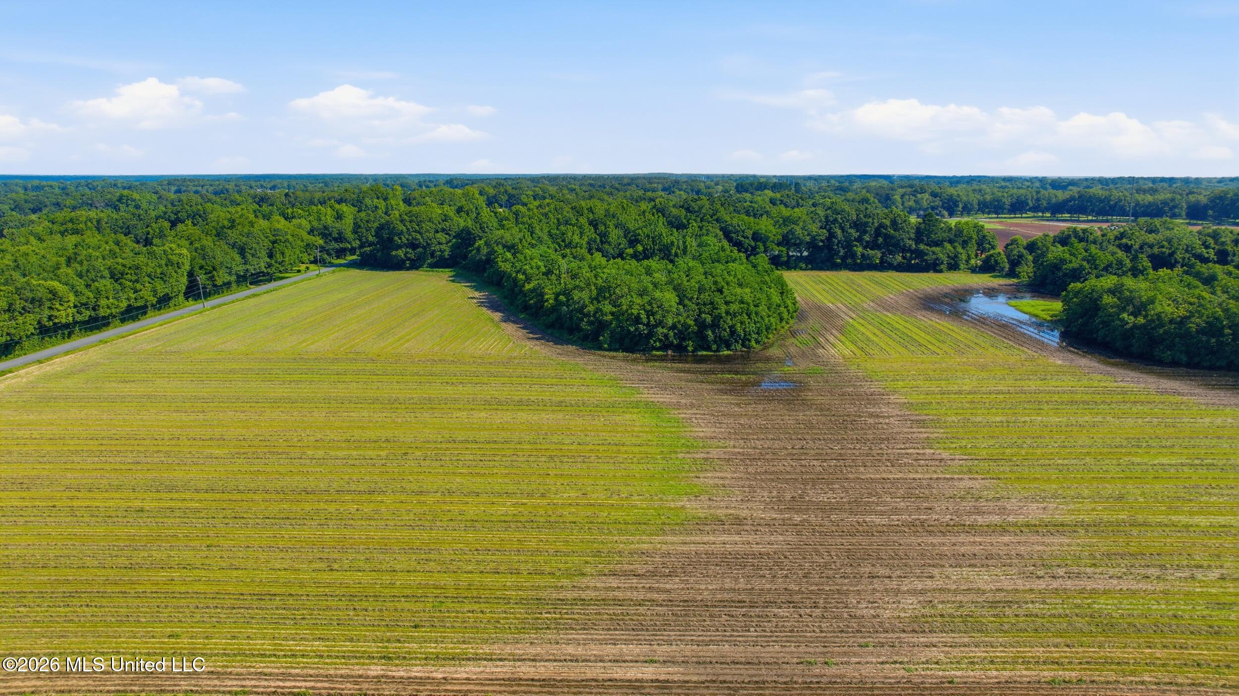 28 Acres Harmon Pope Road Property Photo 22