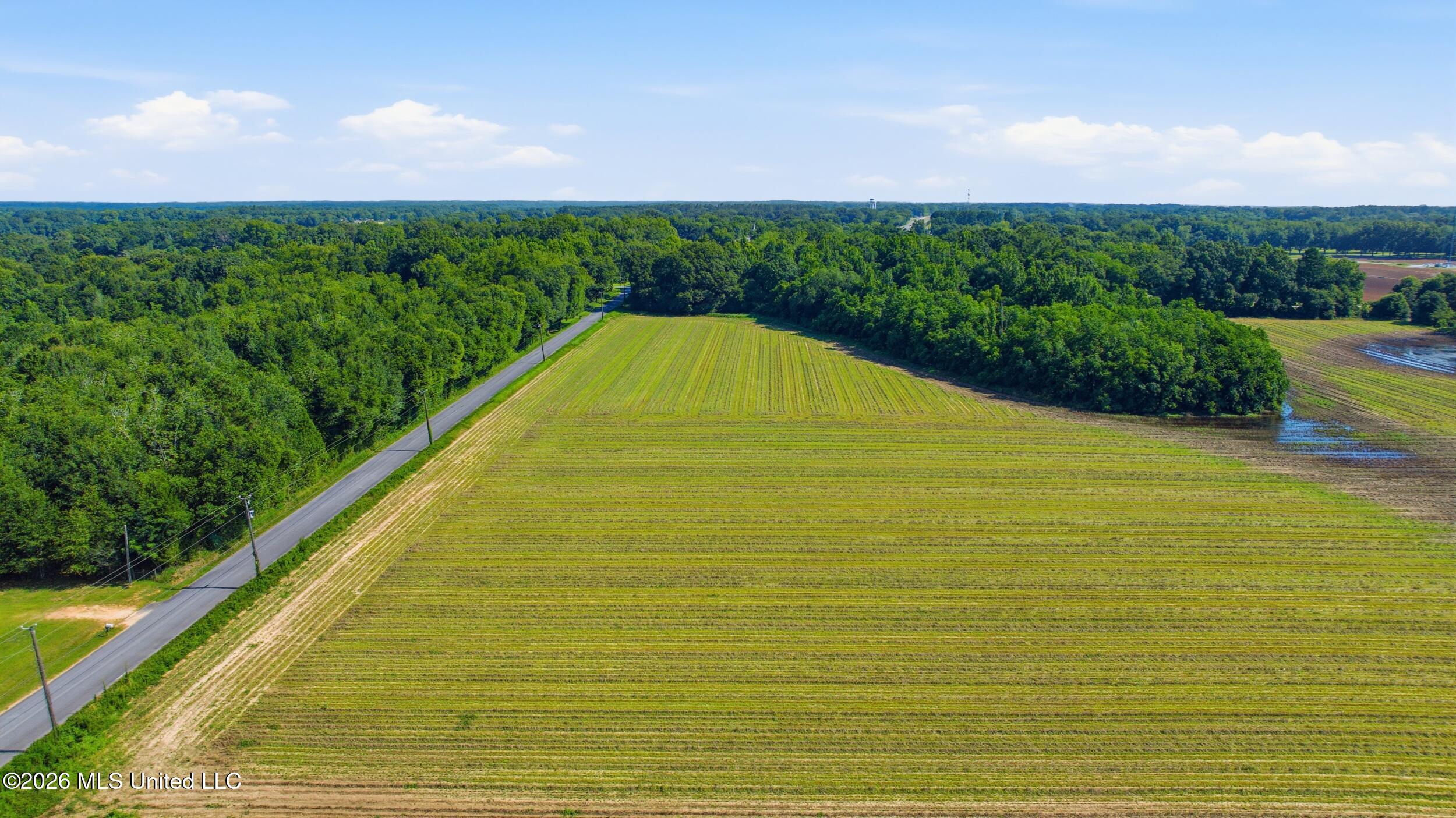 28 Acres Harmon Pope Road Property Photo 23