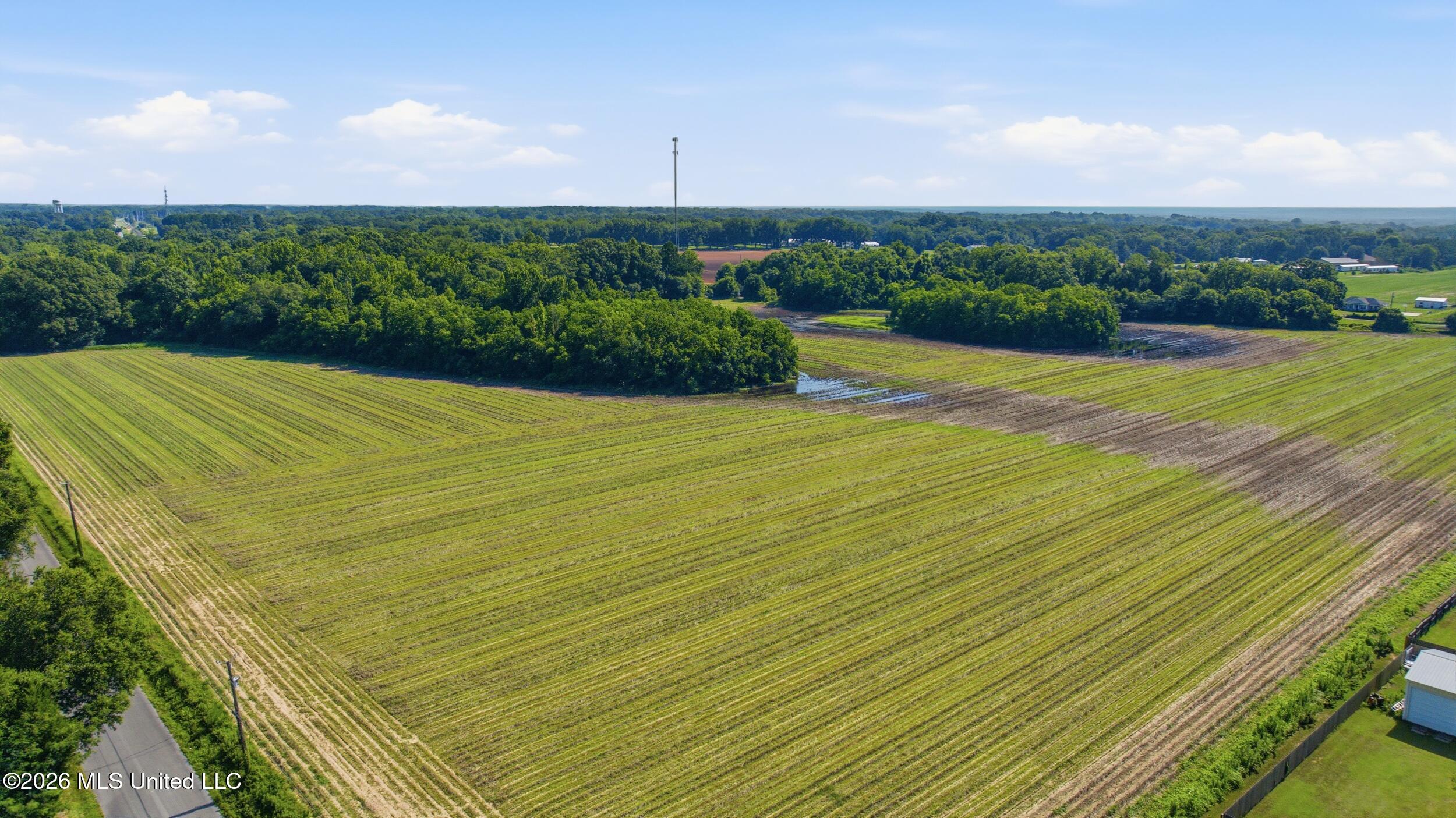 28 Acres Harmon Pope Road Property Photo 24